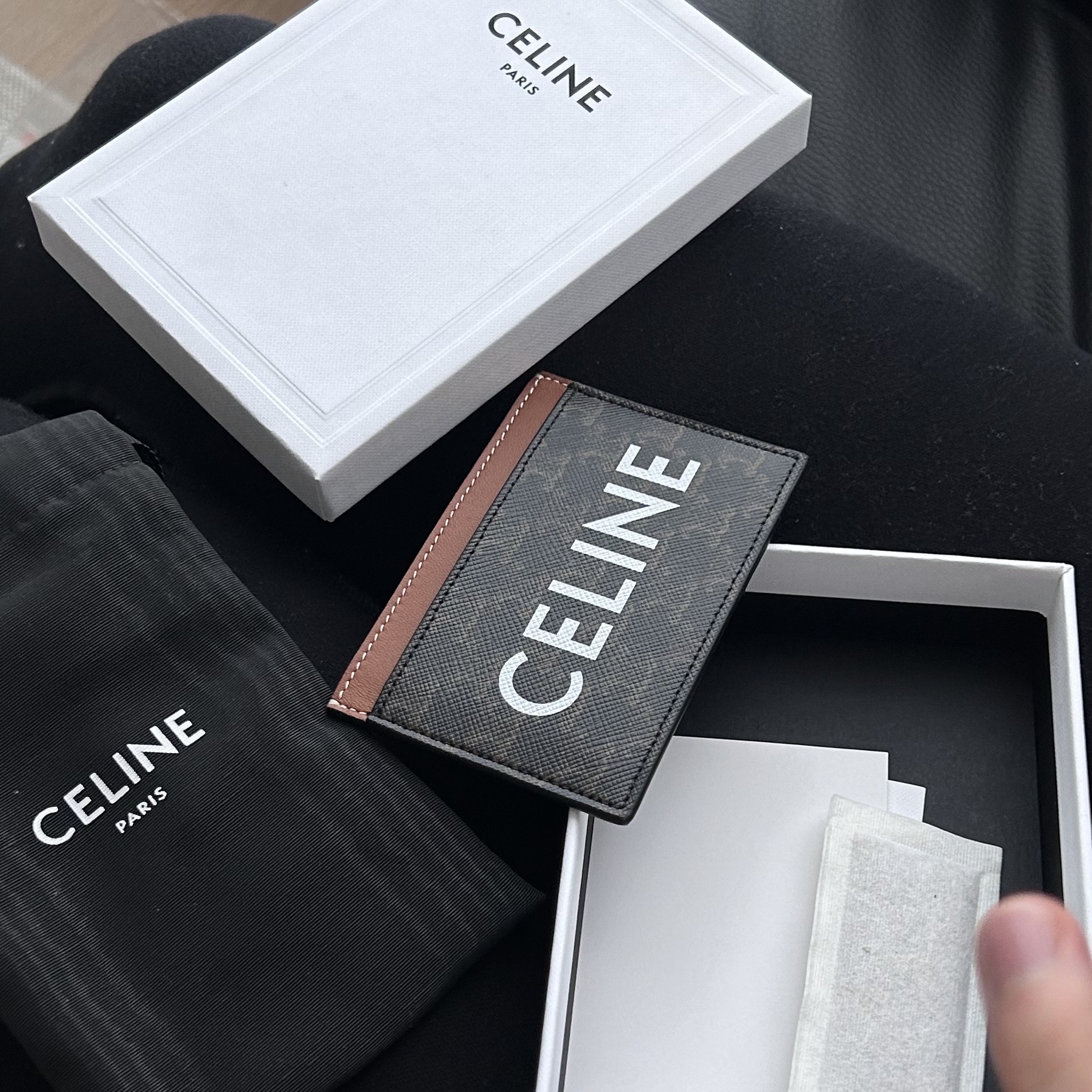 Celine Card Holder in Triomphe Canvas with Celine Print Tan 착용 스타일