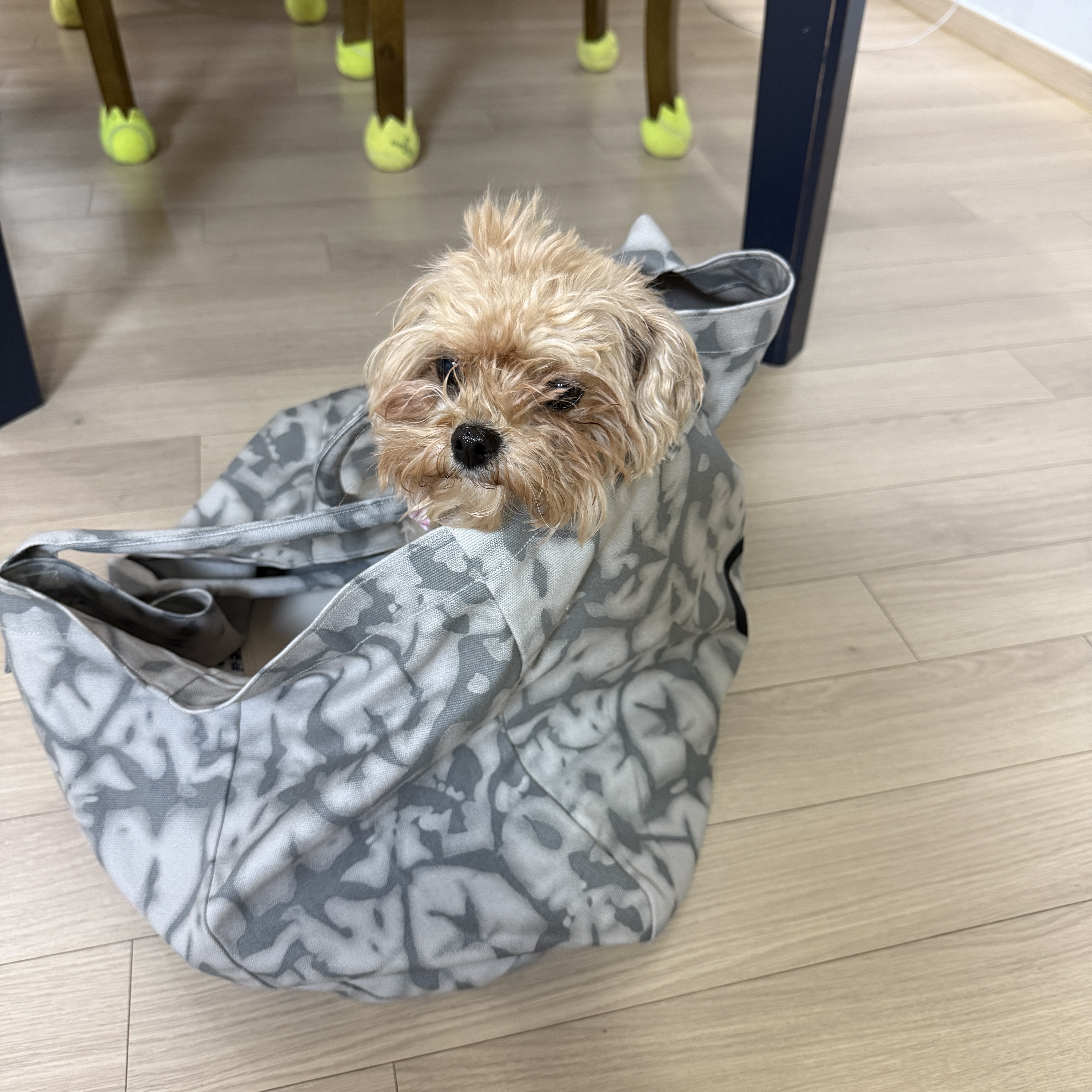 Alo Yoga Iconic Shopper Tote Bag Grey Tiedye 착용 스타일