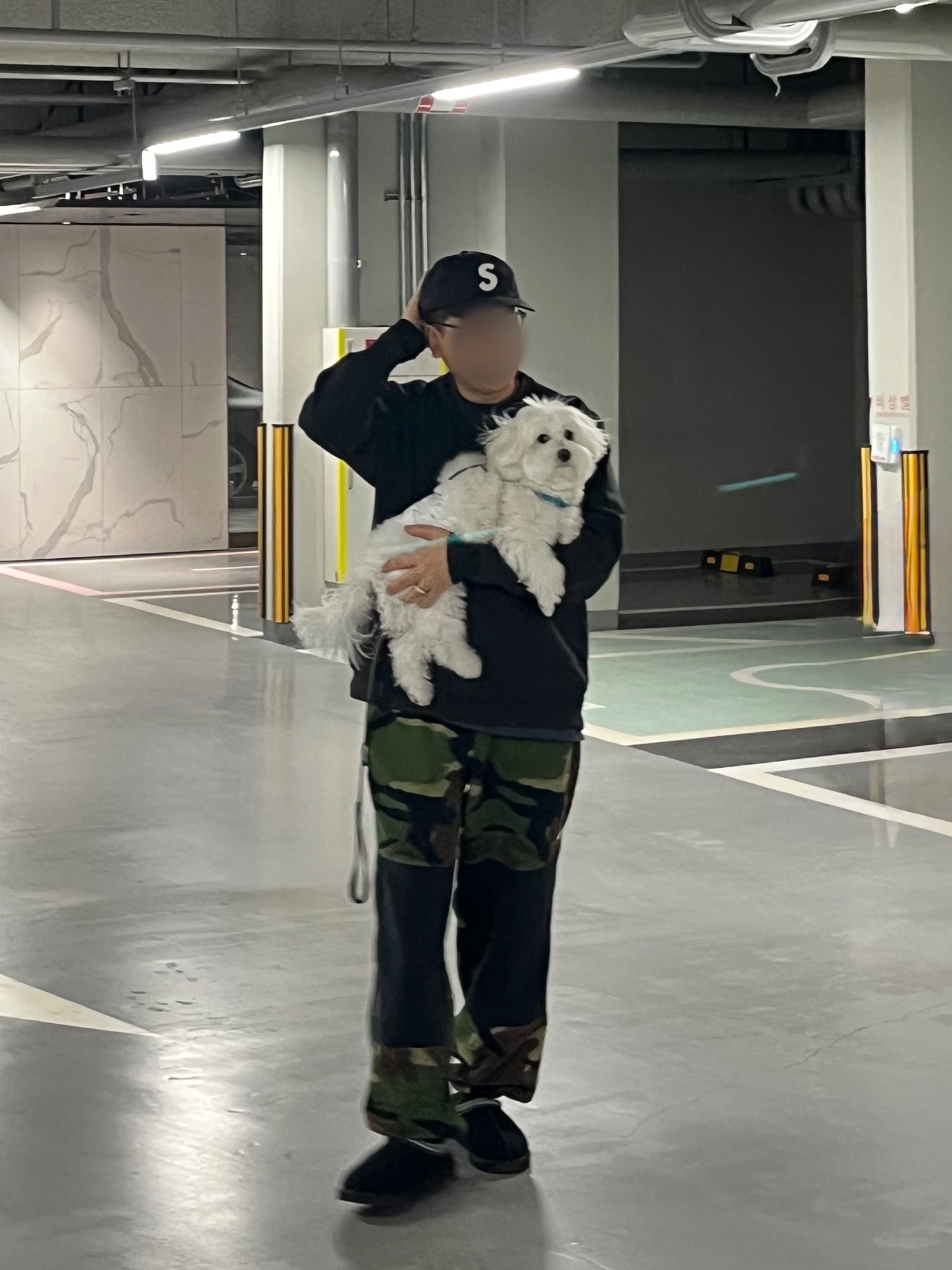 ์์
์ด๋ฏธ์ง