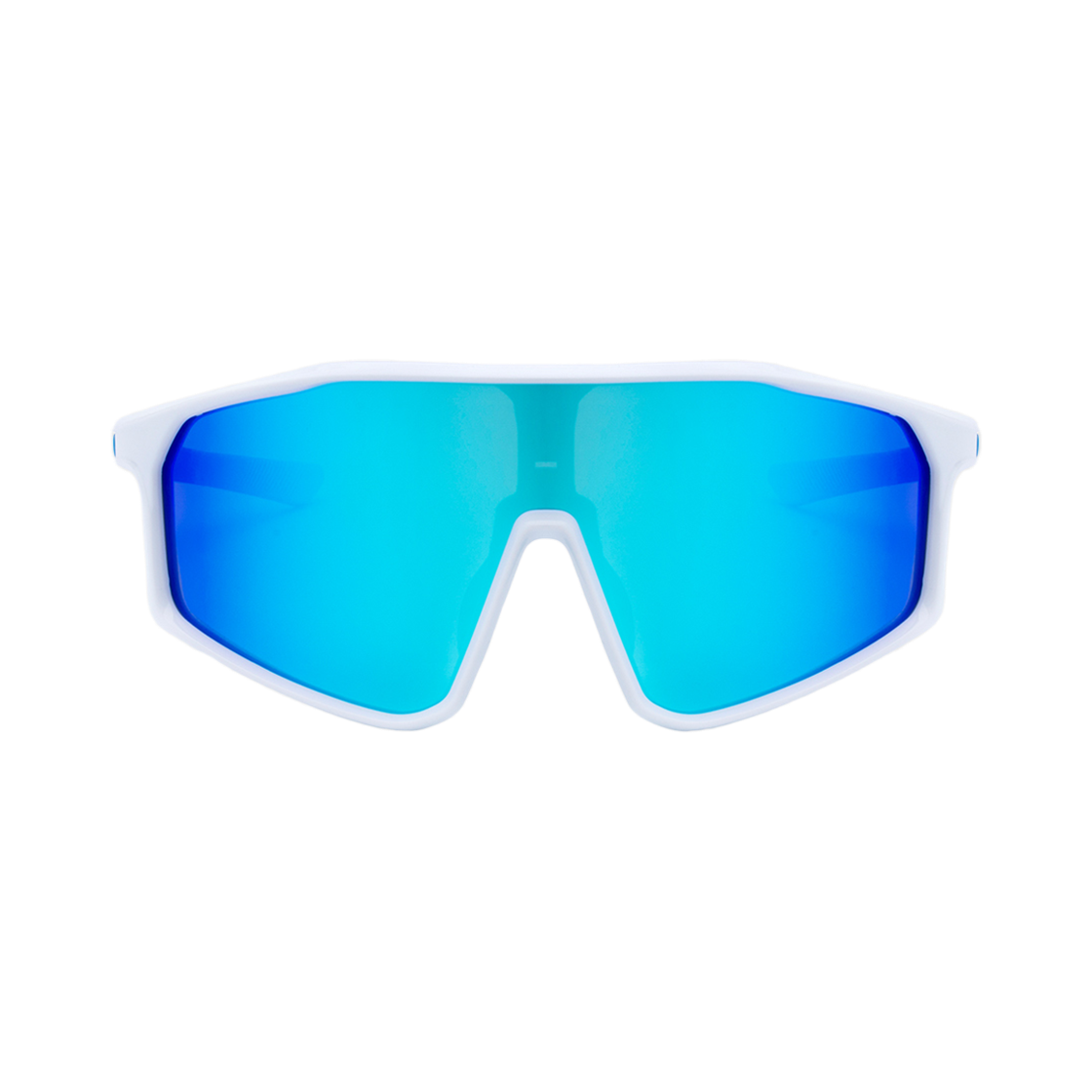 SELLIPASUNBU RECLOW Tr Sellipa Goggles Sunglass Blue