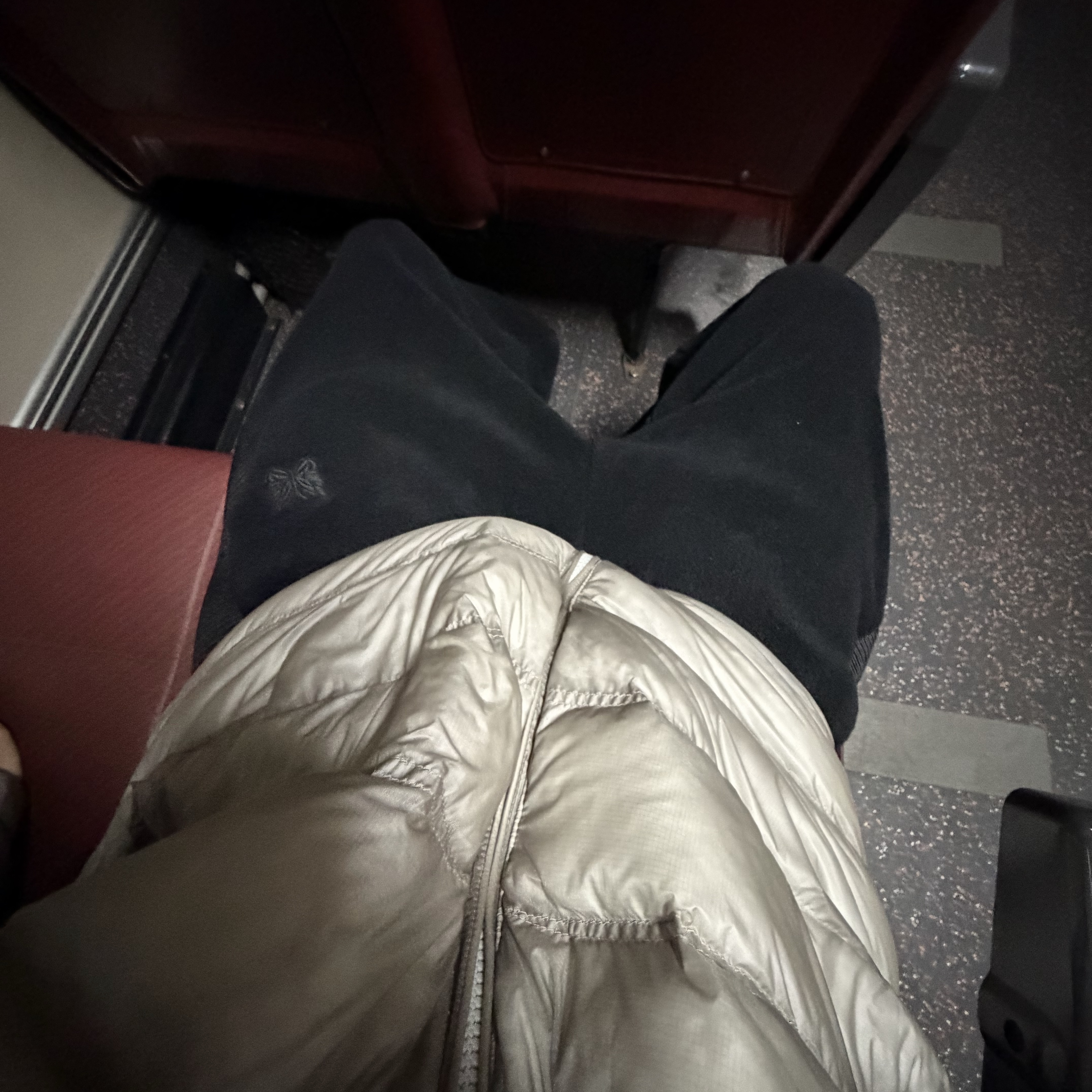 Salomon UNI Cross Insulation Jacket Light Grey 착용 스타일