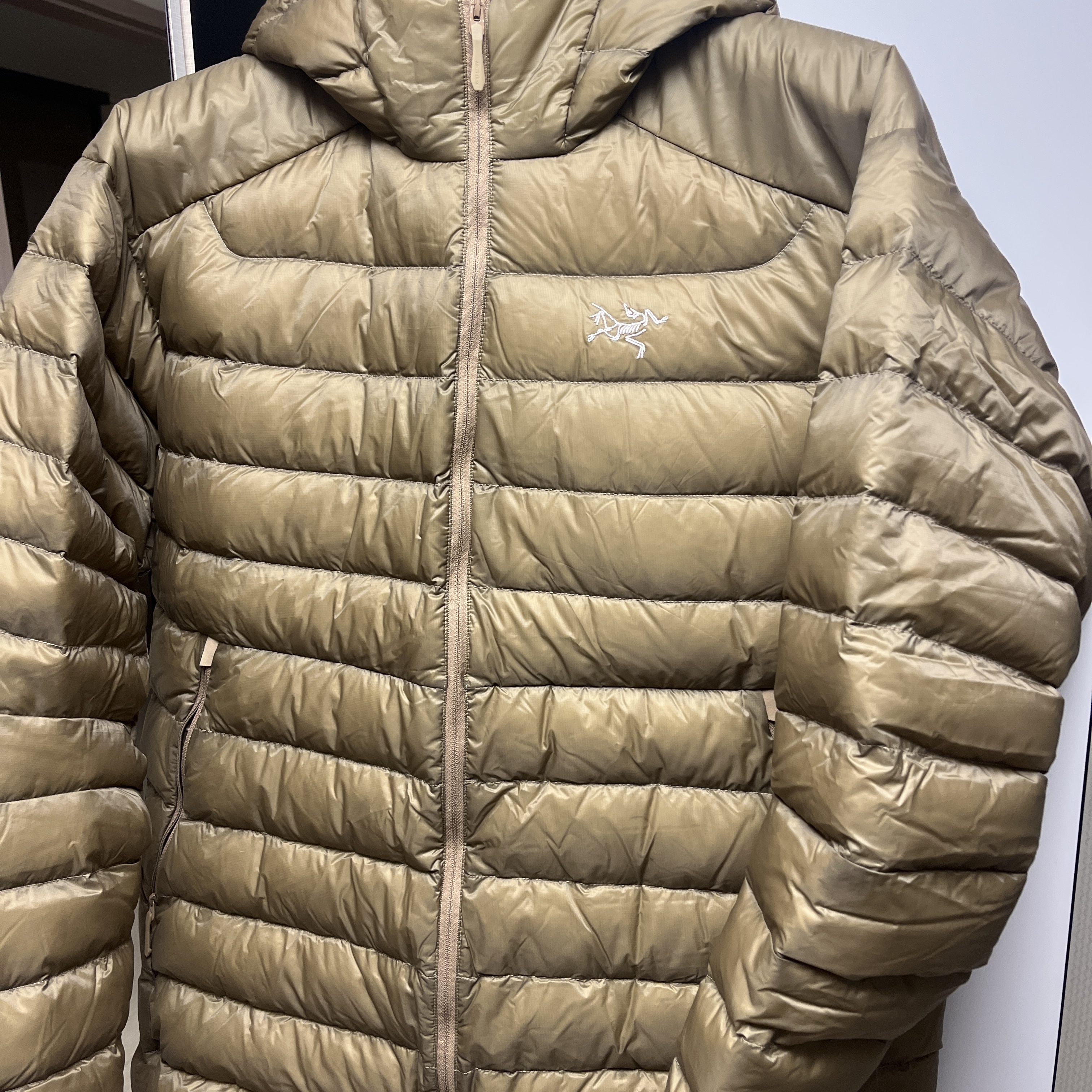 Arc'teryx Cerium Hoody Canvas 착용 스타일