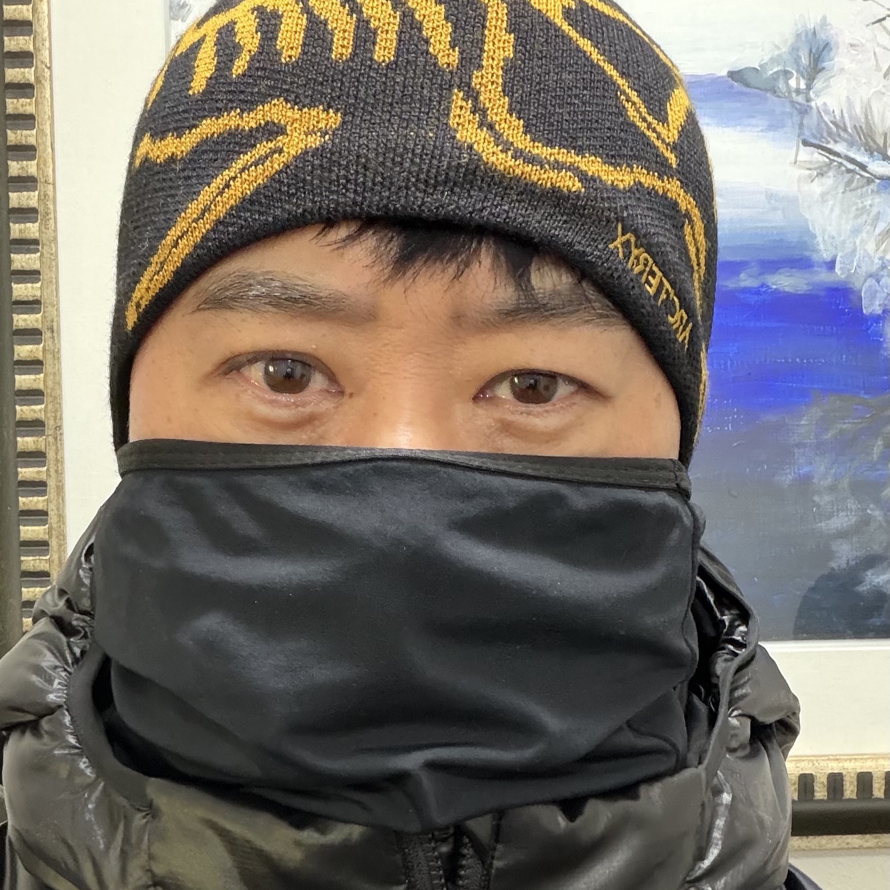 Arc'teryx Bird Head Toque 24K Black, Arc'teryx Cerium SV Hoody Black 착용 스타일