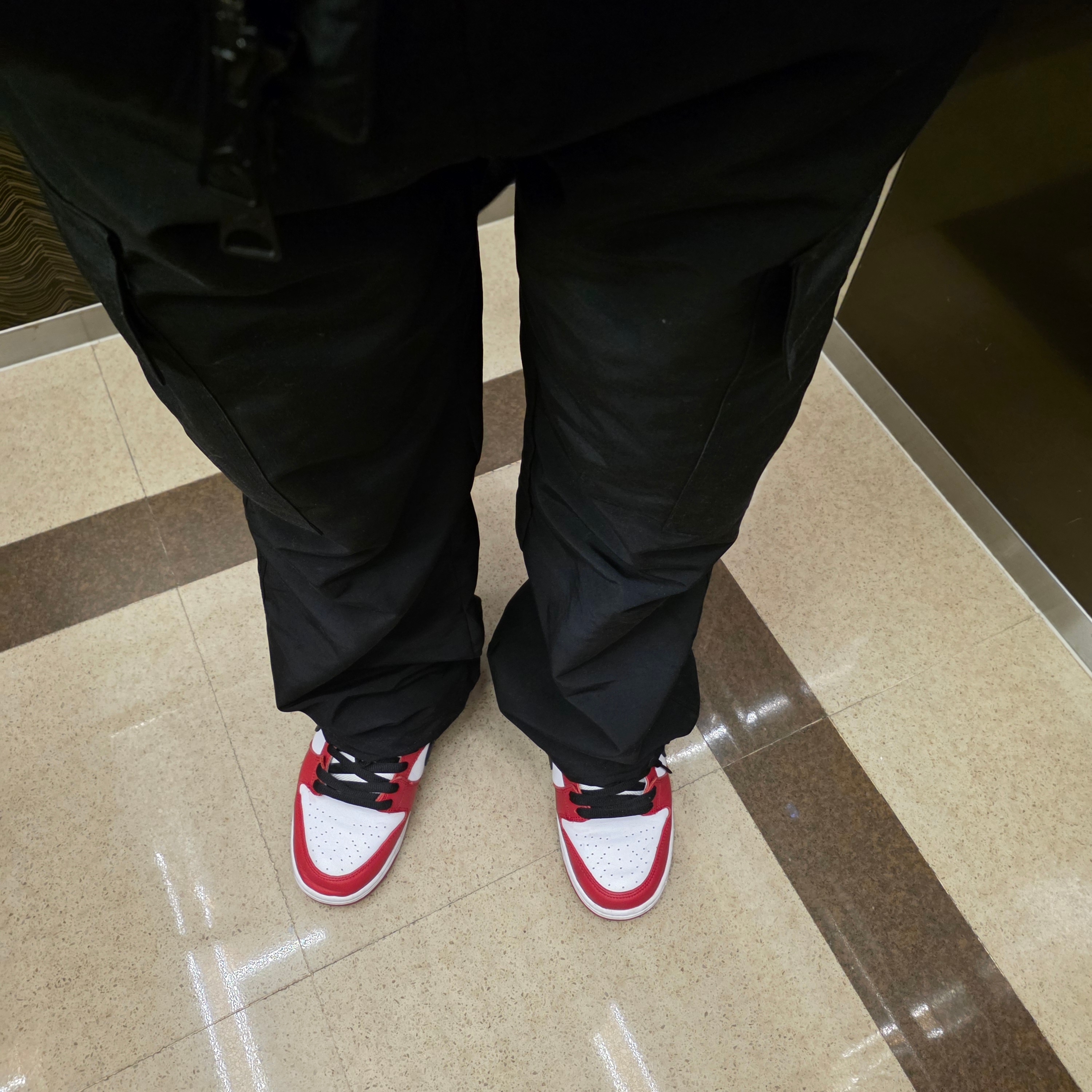 Nike SB Dunk Low Pro Chicago 착용 스타일