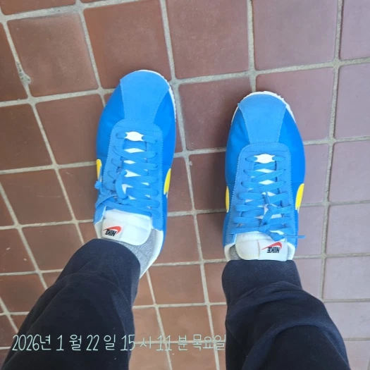 스타일 카드