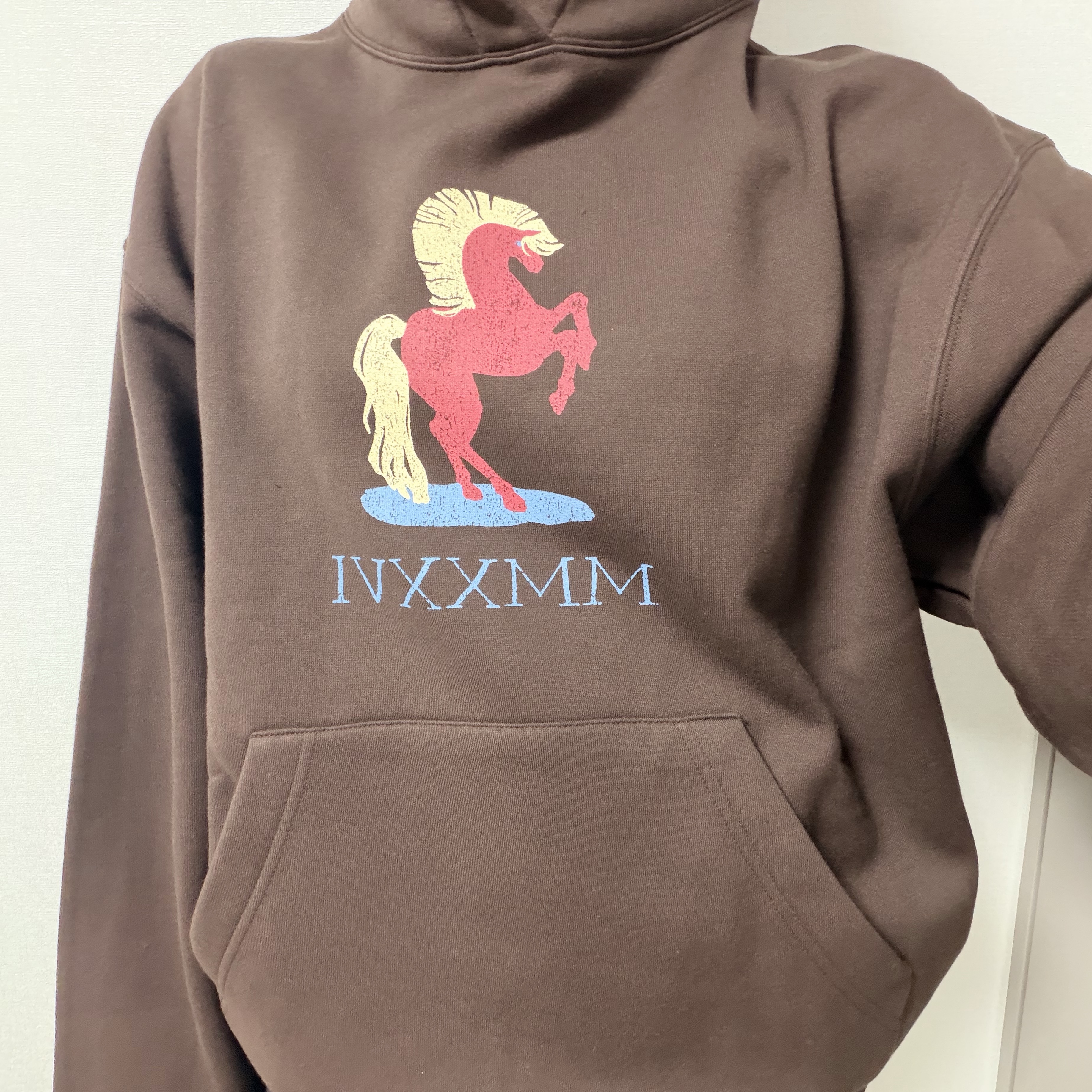 IAB Studio Red Horse Hoodie Brown 착용 스타일 - 4