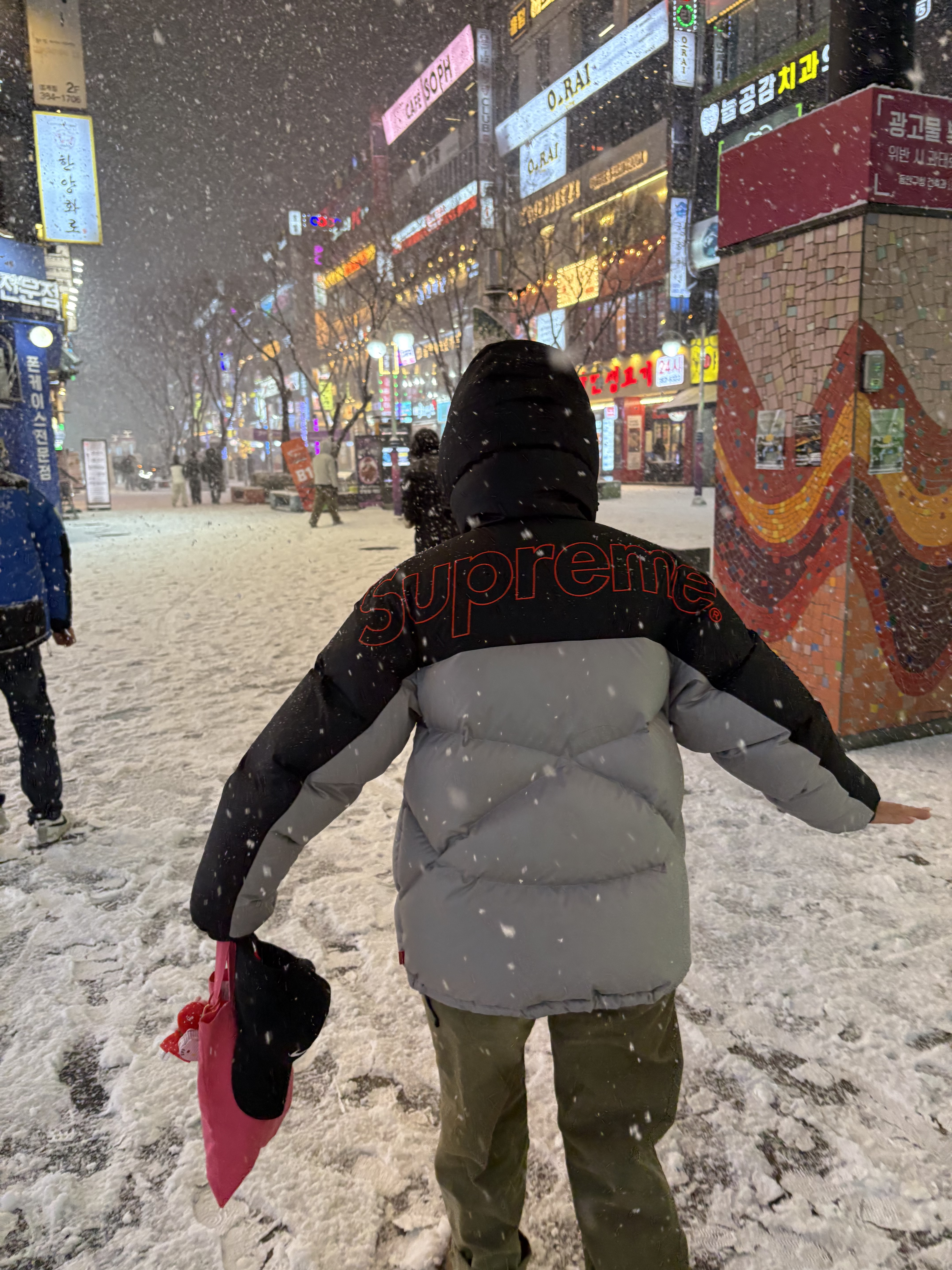 Supreme x The North Face 800-Fill Half Zip Hooded Pullover Grey - 22FW, (W) UGG Tazz II Chestnut 착용 스타일 - 2