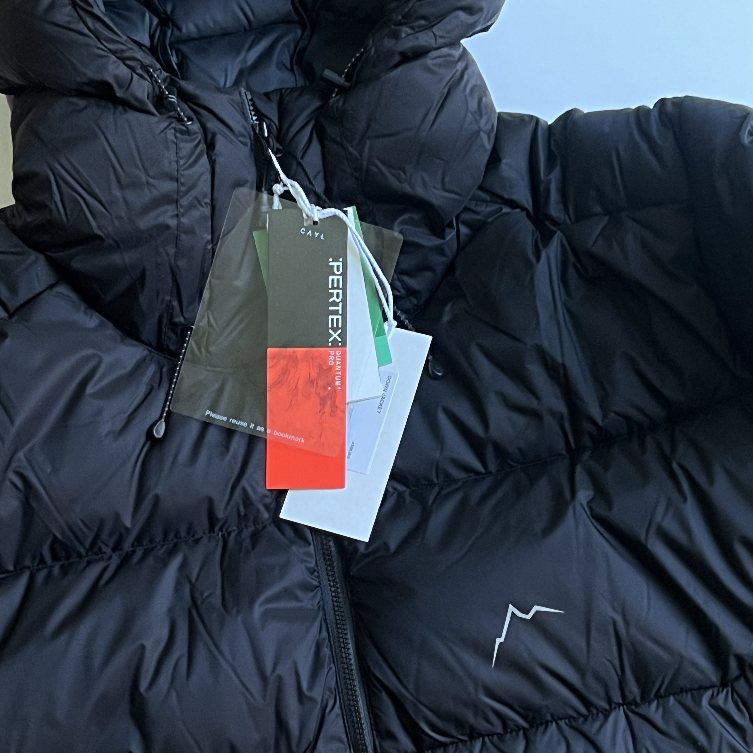 Cayl Down Jacket Black 착용 스타일