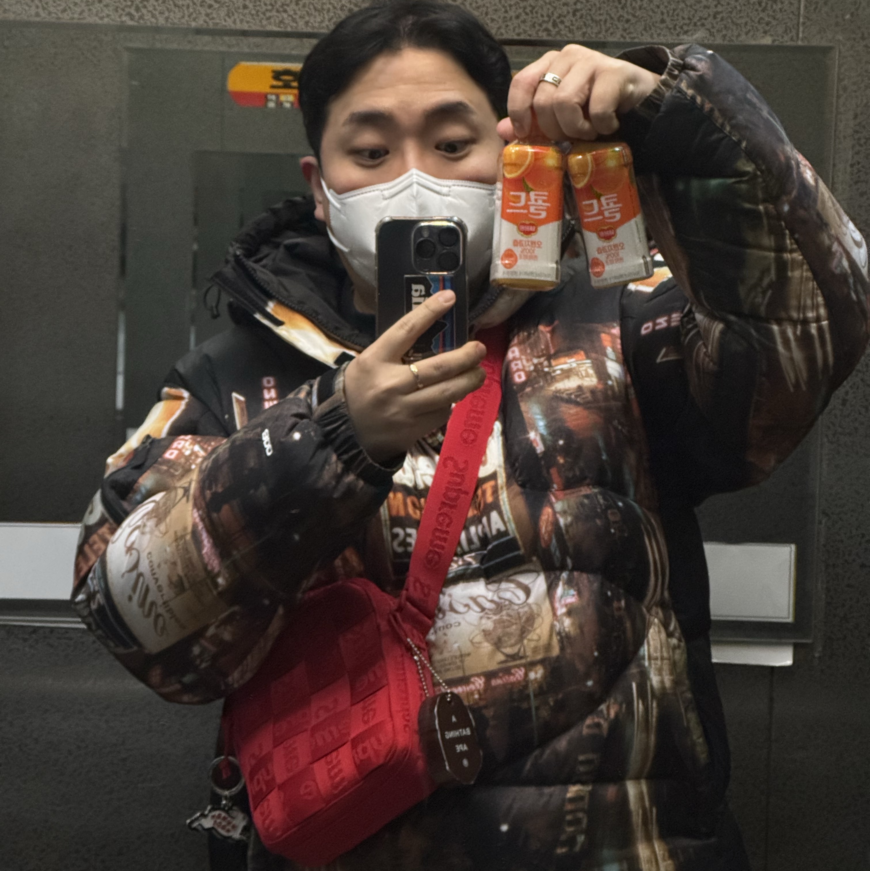 Supreme x The North Face 800-Fill Half Zip Hooded Pullover Times Square - 22FW, Human Made Animal Keychain #1 Silver 착용 스타일