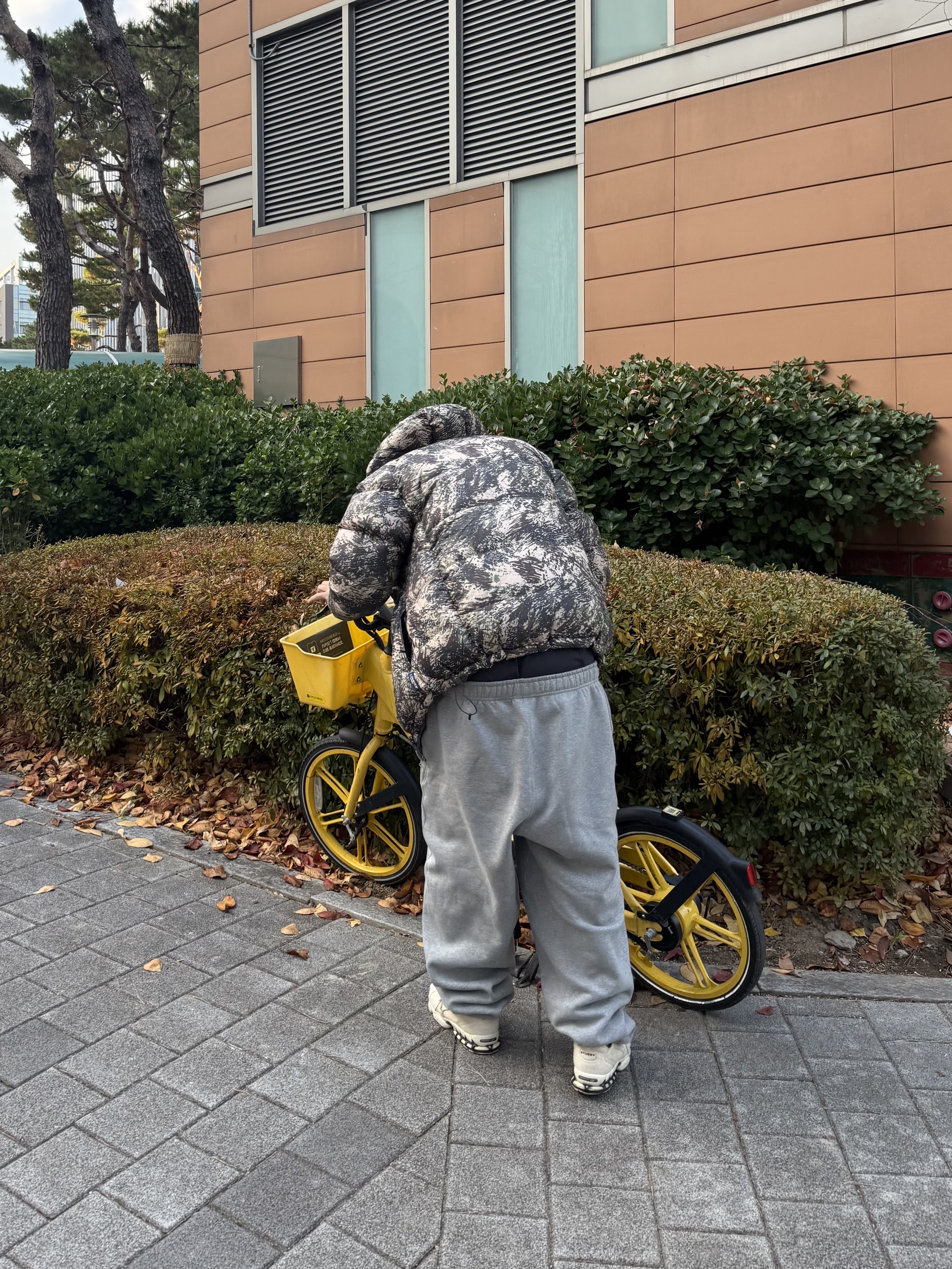 Featherdown HD Jacket New Camo Khaki 착용 스타일 - 4