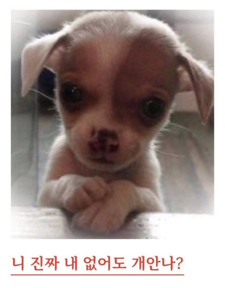 관심 유저 프로필 이미지