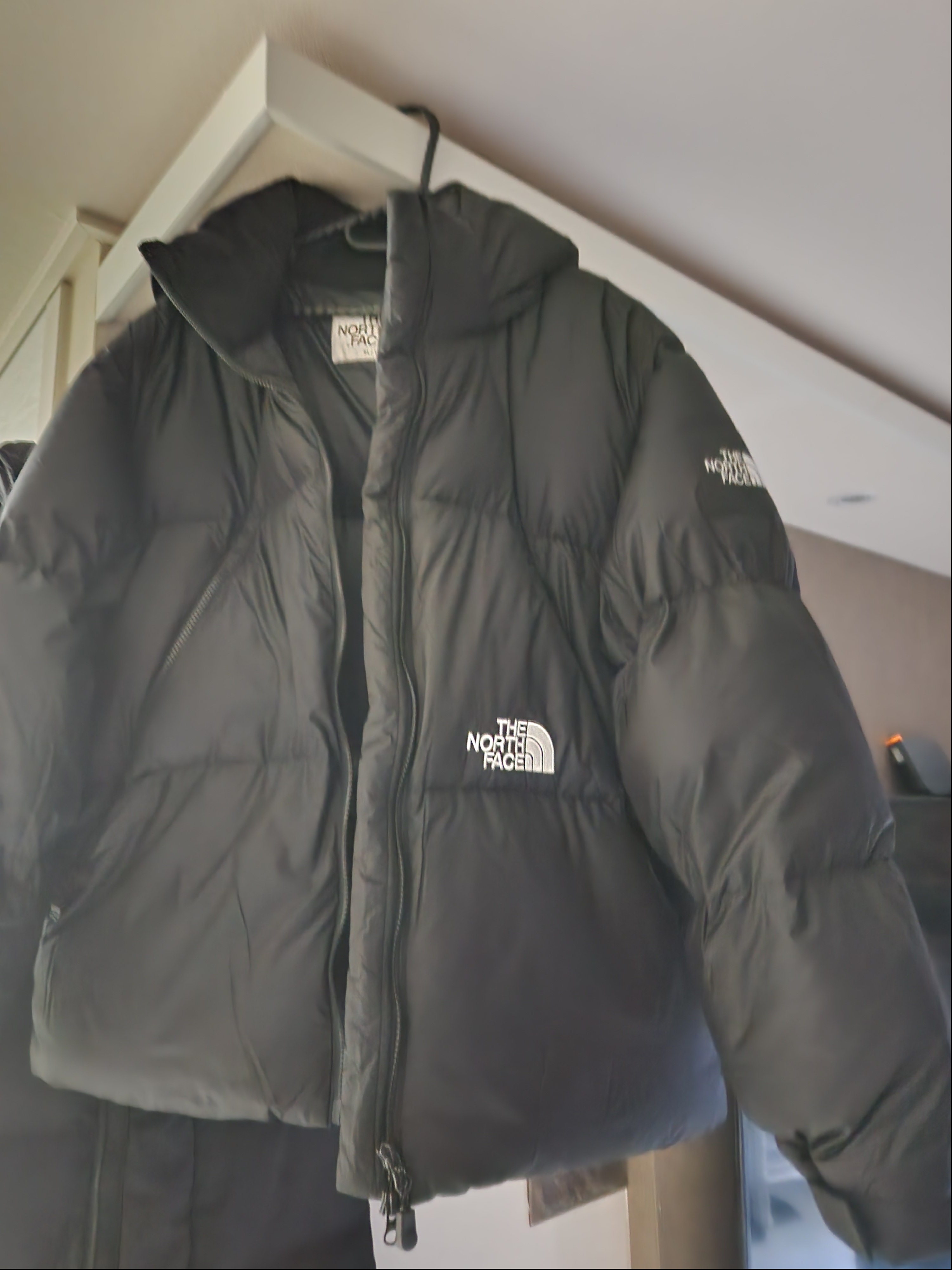 The North Face White Label Project Down Jacket RDS Black - 25FW 착용 스타일