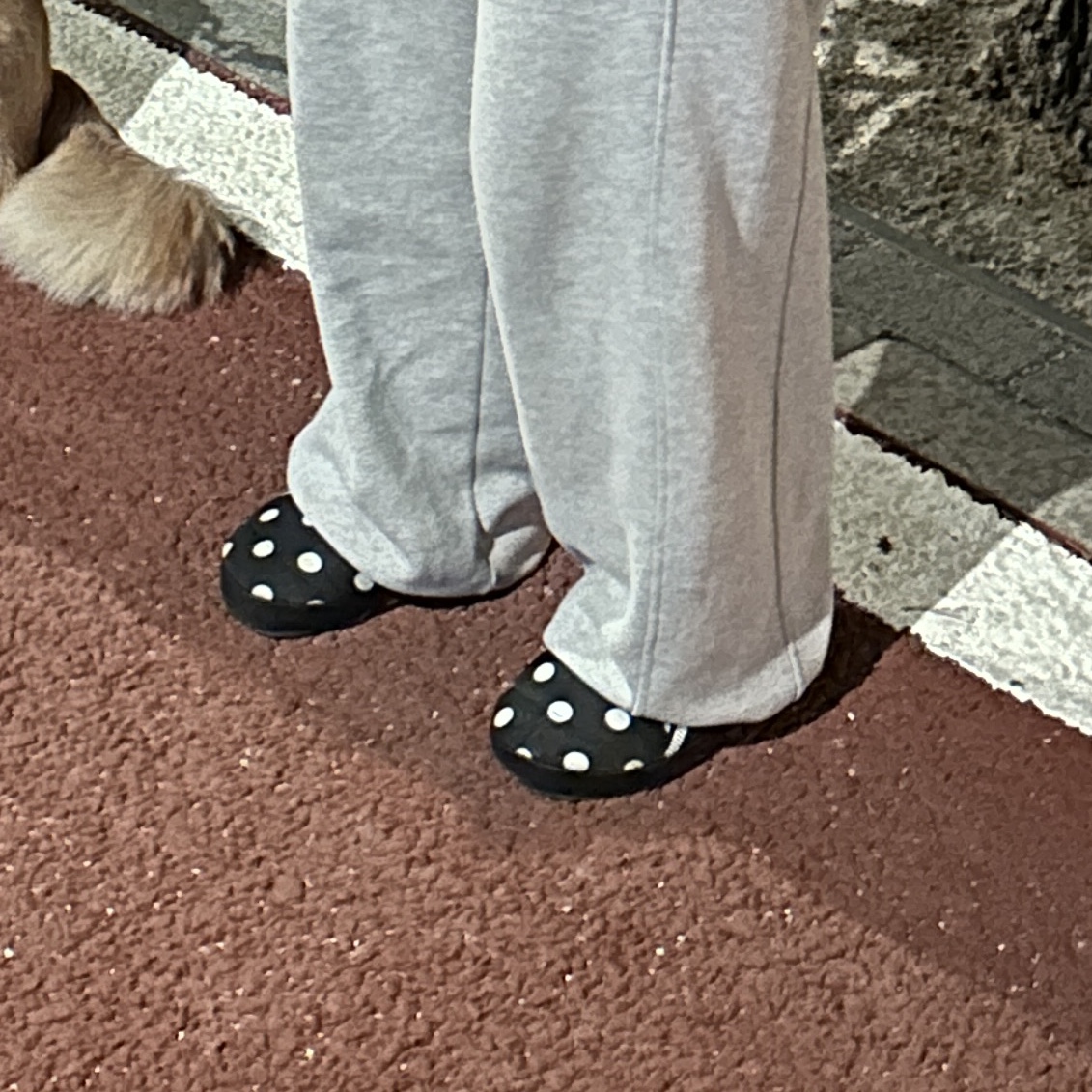 Puma Tuff Padded Polka Dot Black 착용 스타일