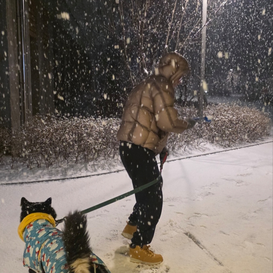Sansan Gear Shade Puffer Jacket Ash Pink - 25FW, Patagonia Fitz Roy Icon Uprisal Sweatpants Ink Black 착용 스타일 - 1