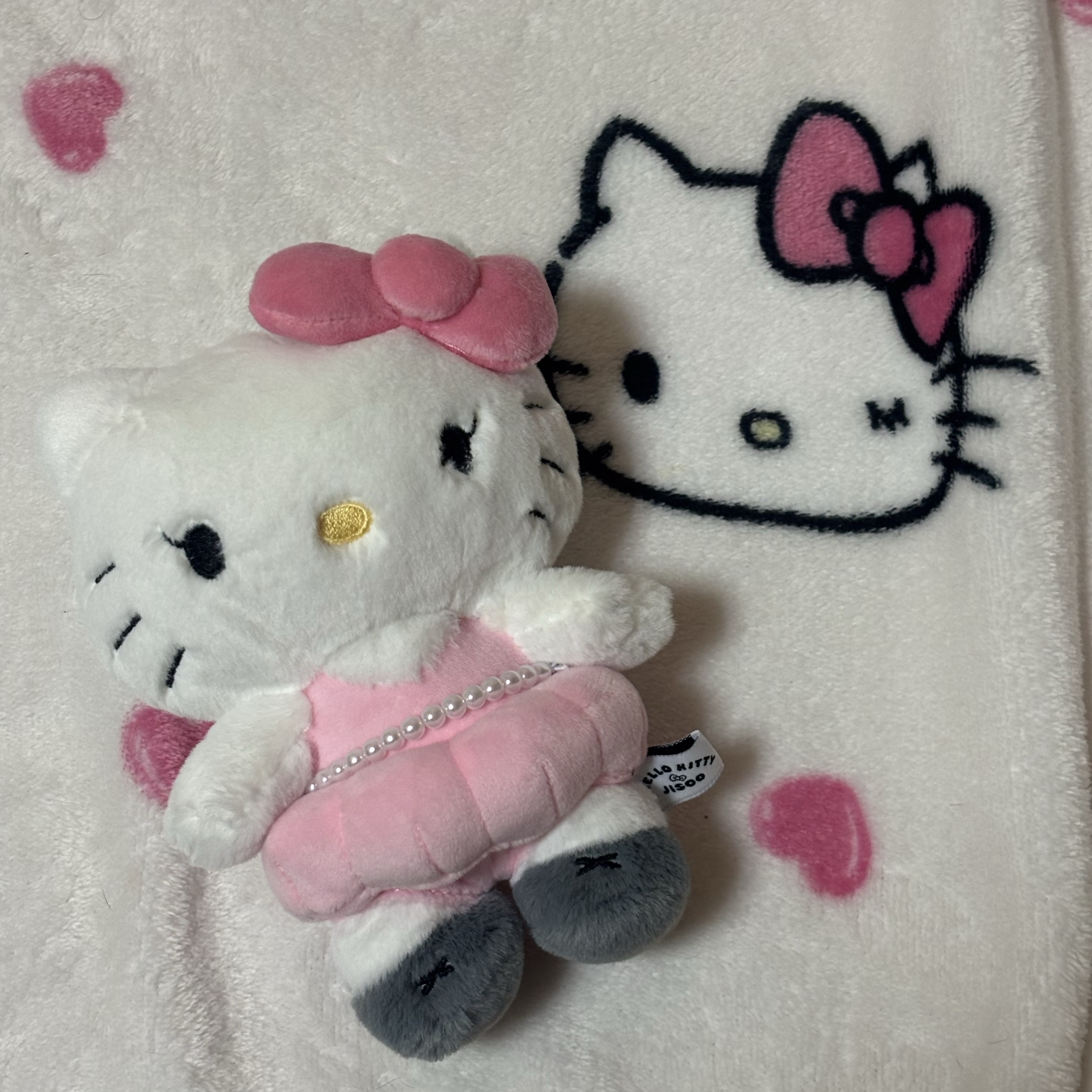 [HELLO KITTY x JISOO] Plush Keychain 착용 스타일