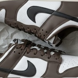 Nike Dunk Low Retro Next Nature Baroque Brown White 착용 스타일