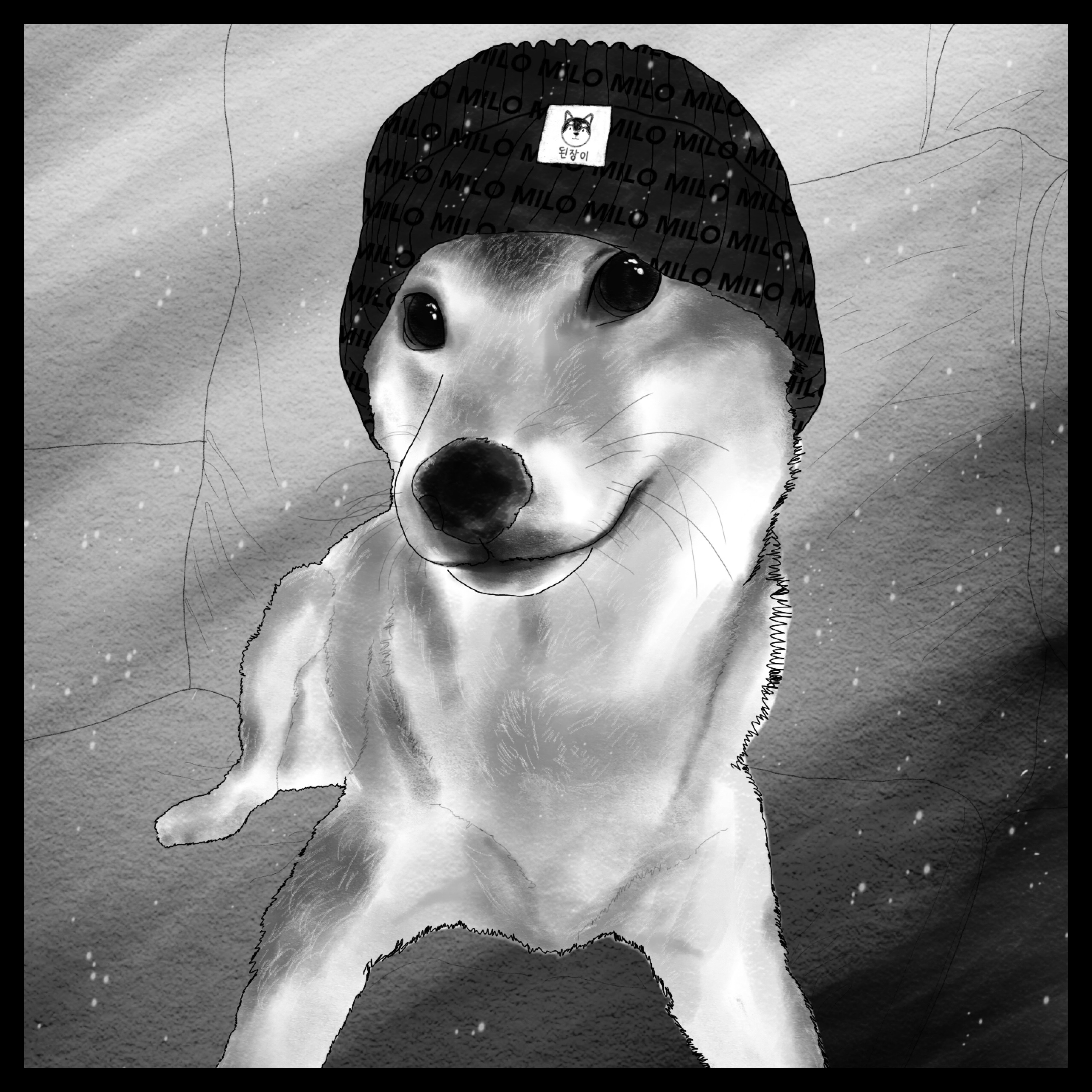 Supreme Overdyed Beanie Black, Stussy Basic Cuff Beanie Black 착용 스타일 - 1