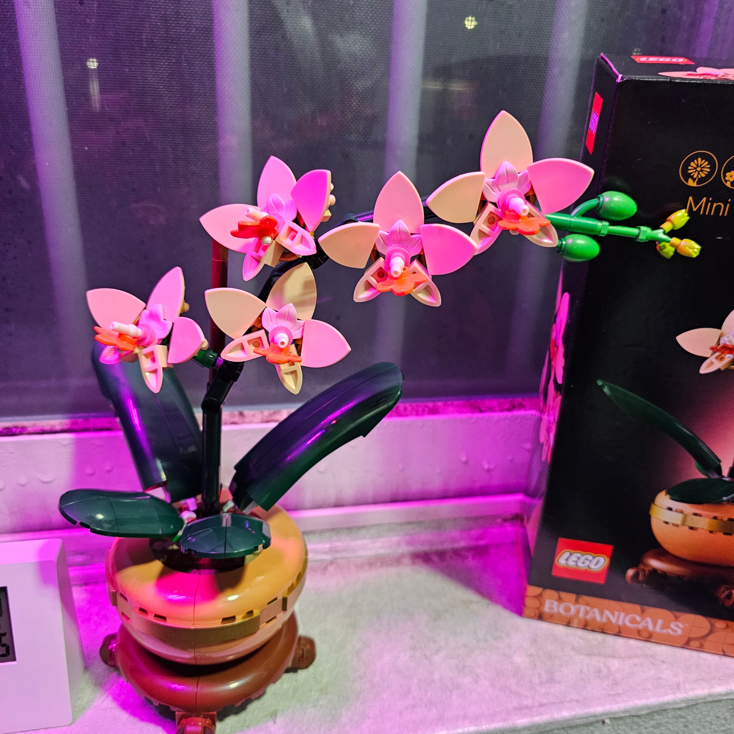 Lego Mini Orchid 착용 스타일 - 2