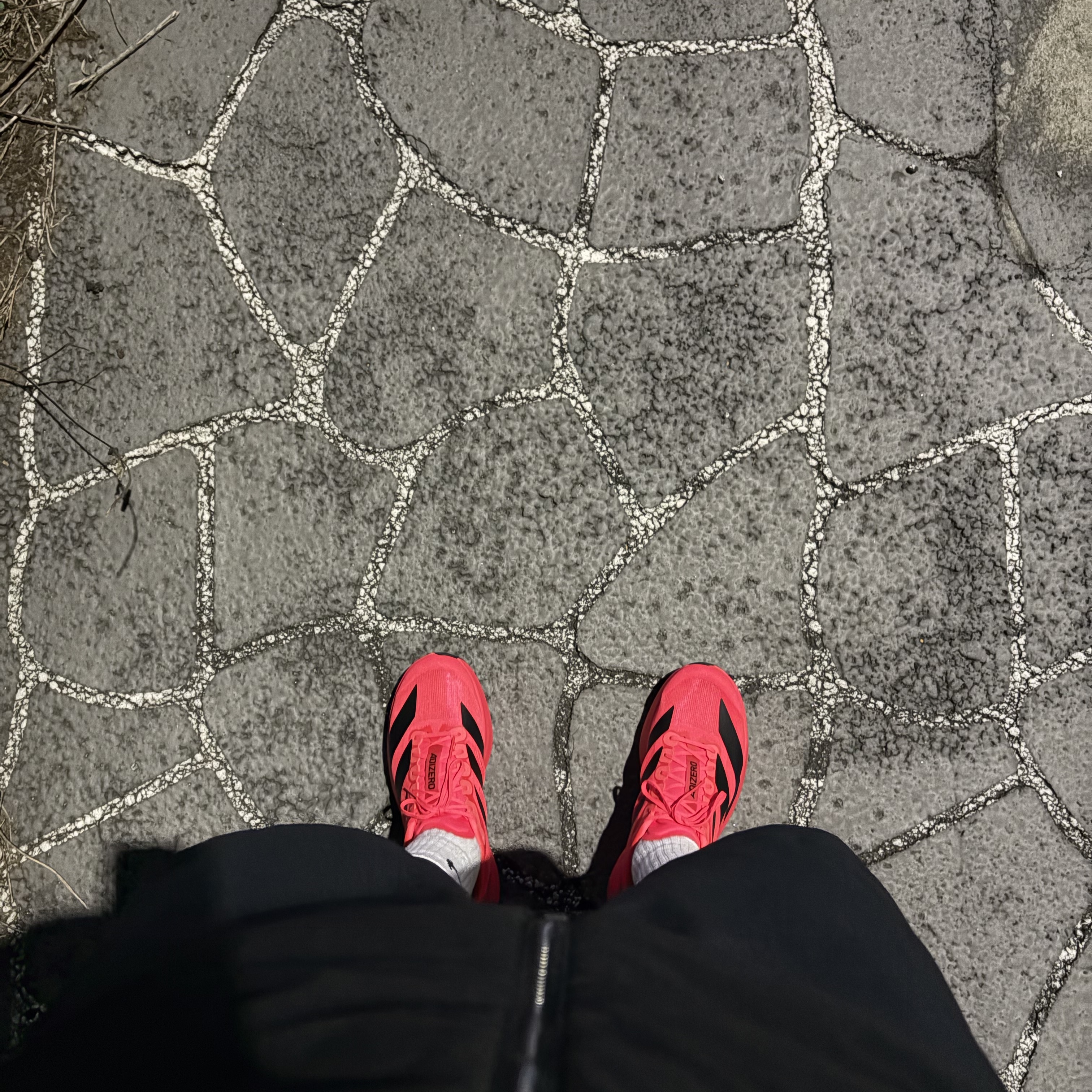 Adidas Adizero Evo SL Lucid Red Core Black 착용 스타일