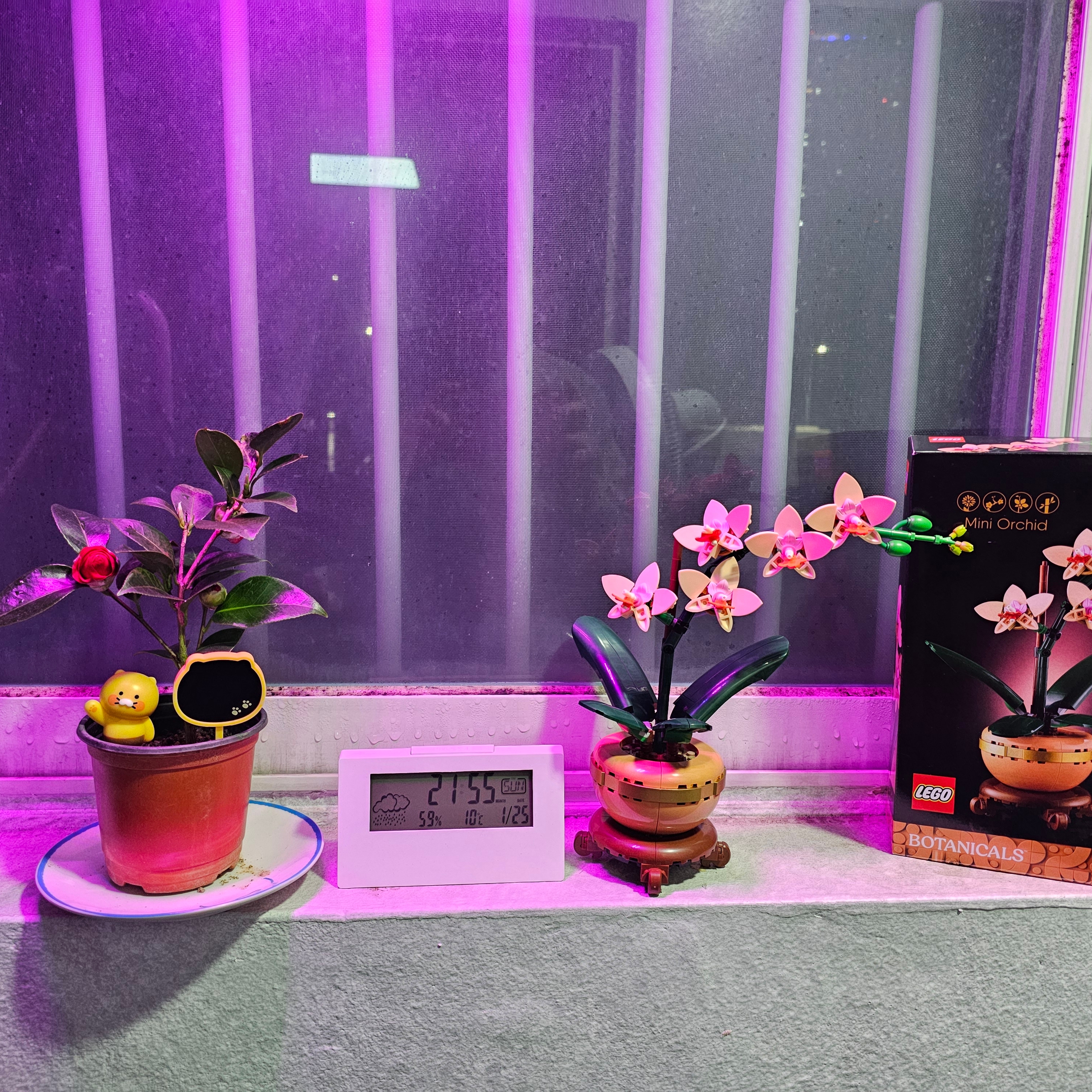 Lego Mini Orchid 착용 스타일 - 1