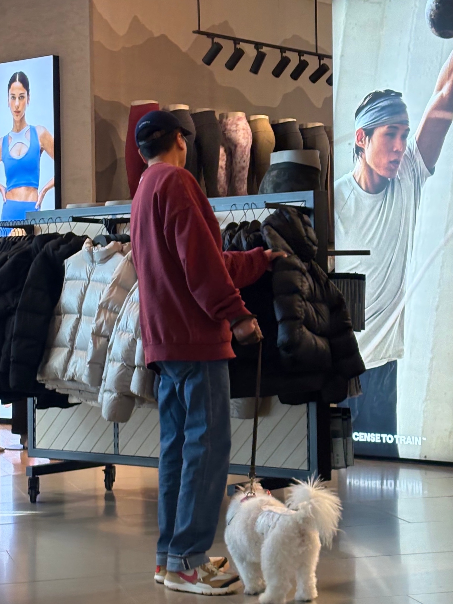 ์์
์ด๋ฏธ์ง