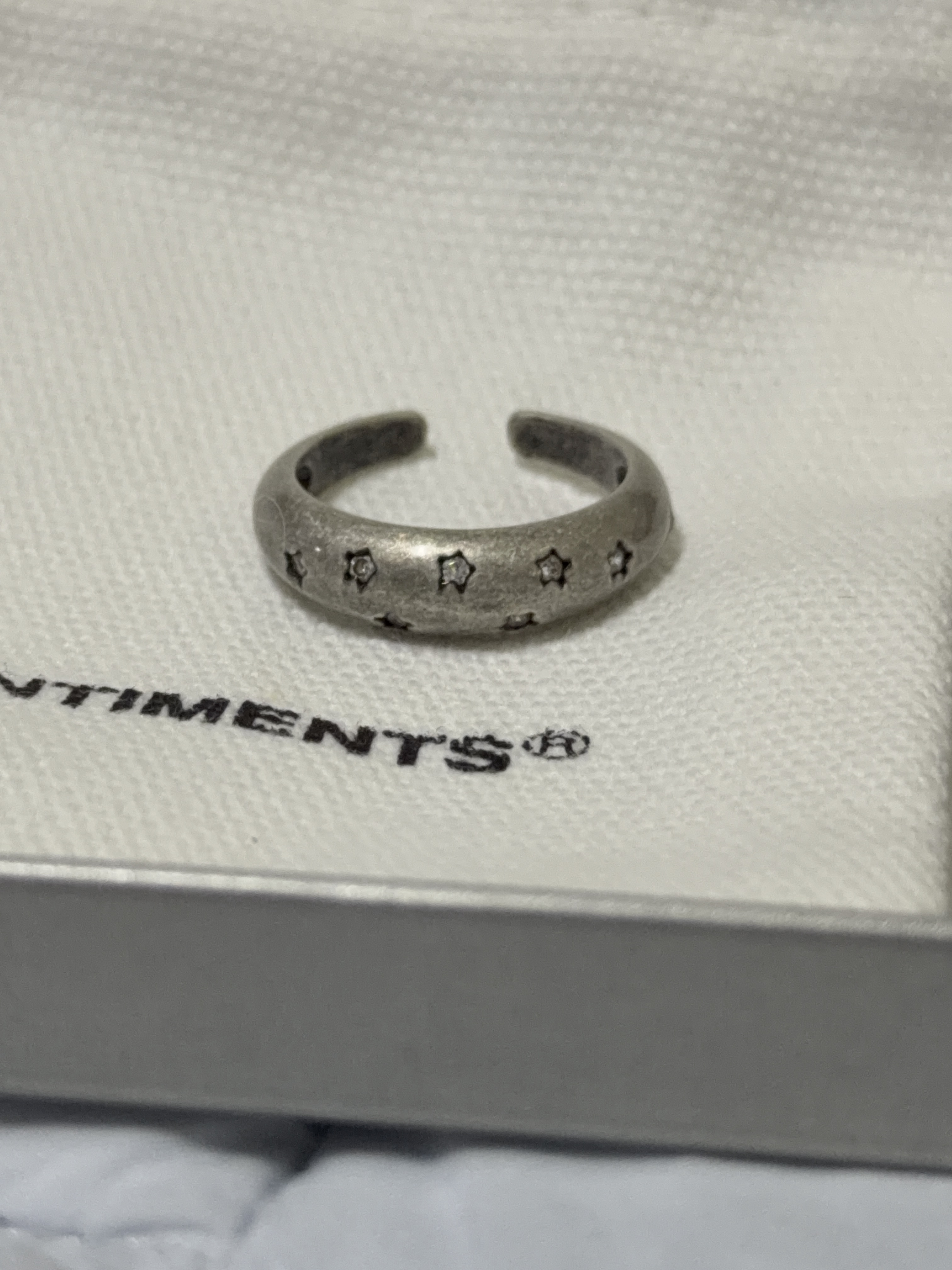 Sentiments No.467 Ring Burnish 착용 스타일 - 1