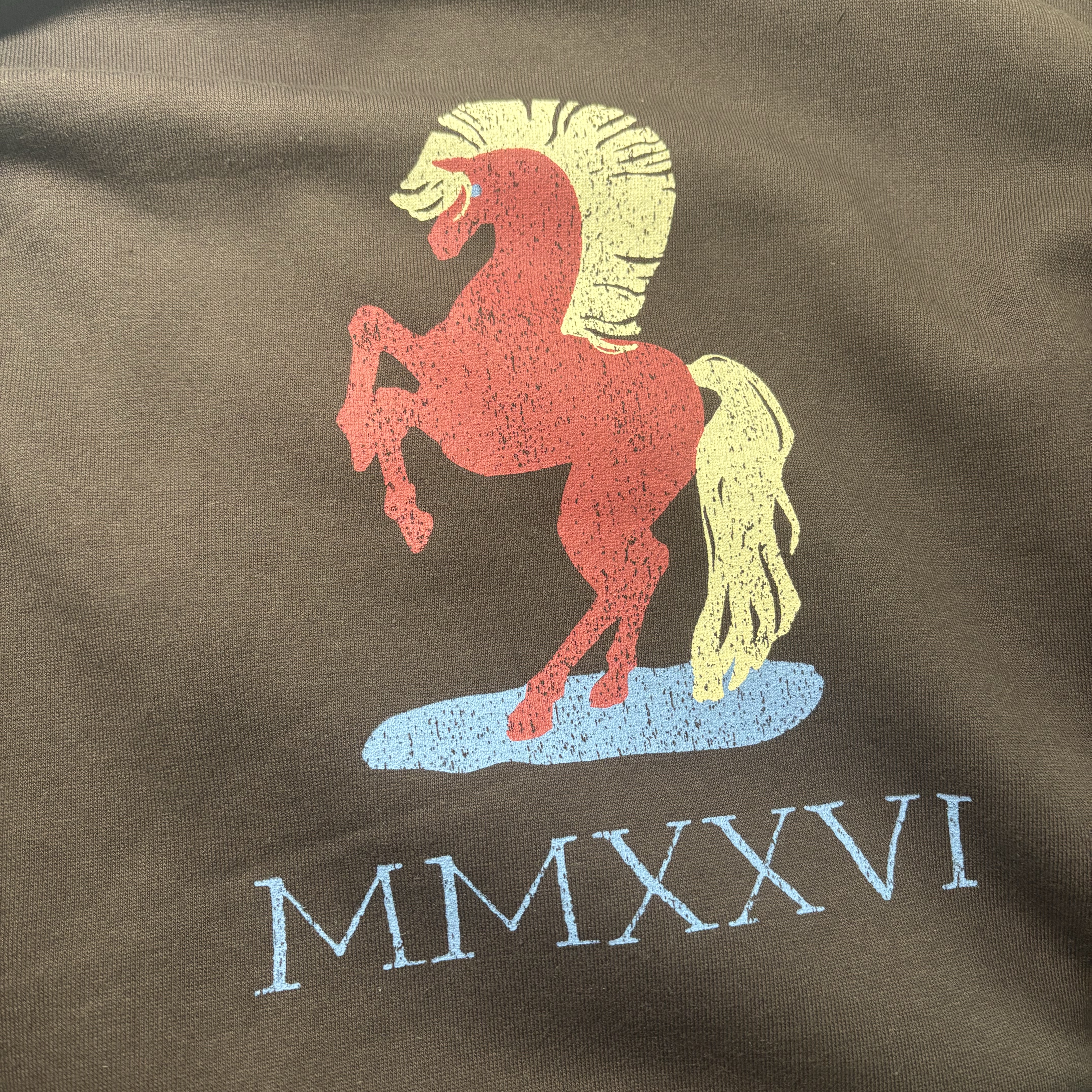 IAB Studio Red Horse Hoodie Brown 착용 스타일