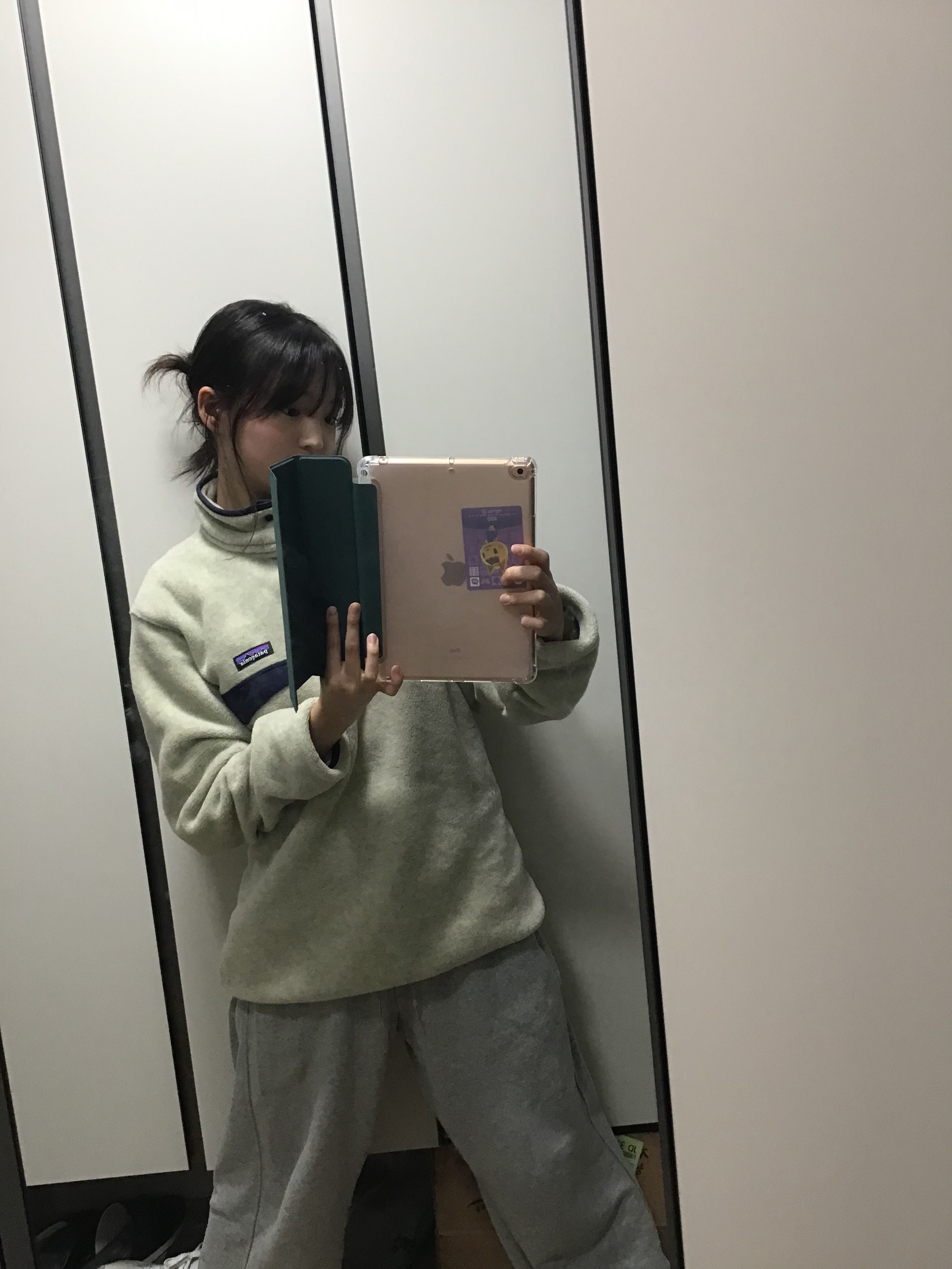 Patagonia Synchilla Snap-T Fleece Pullover Oatmeal Heather 착용 스타일 - 1