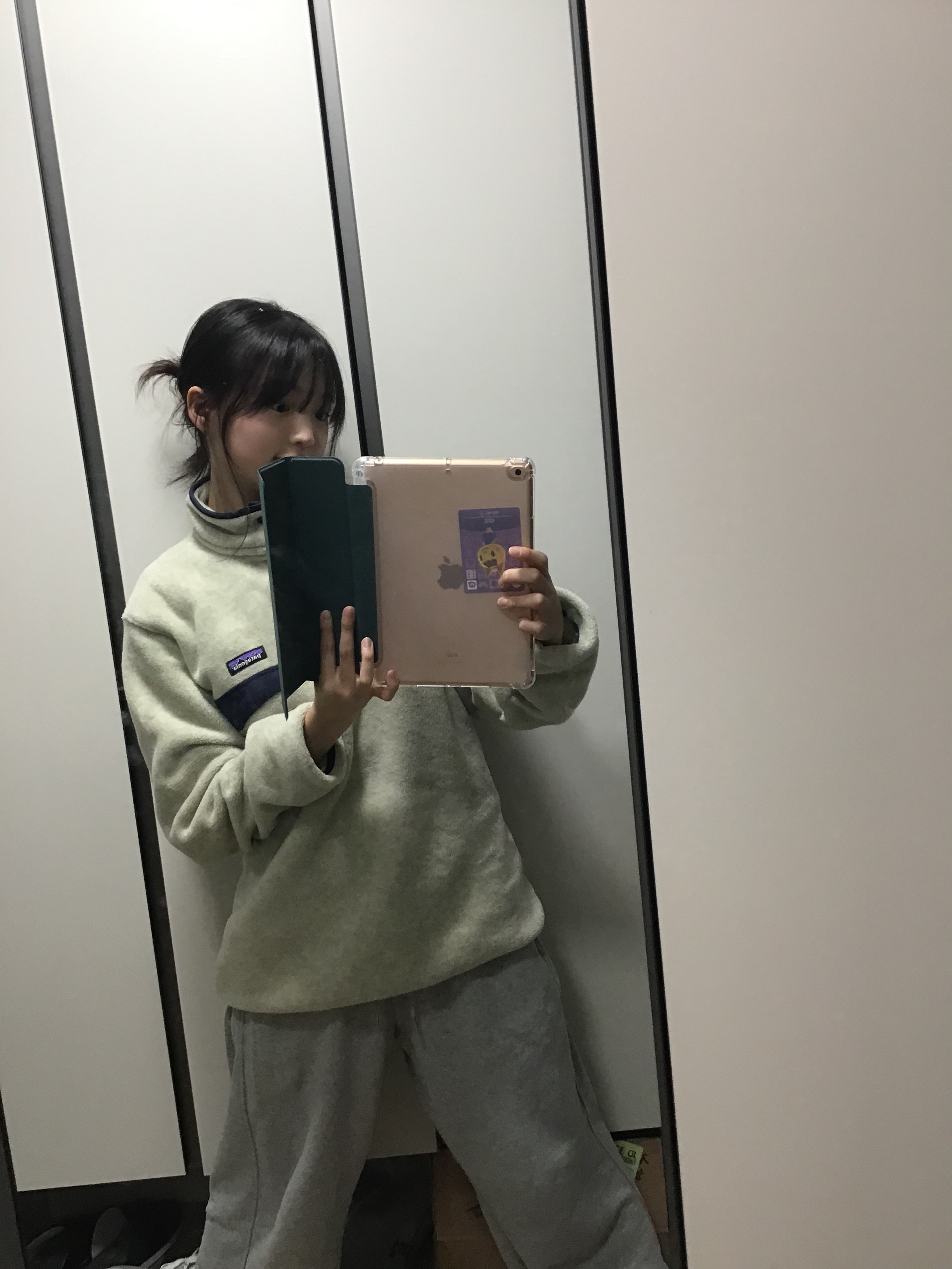 Patagonia Synchilla Snap-T Fleece Pullover Oatmeal Heather 착용 스타일 - 2