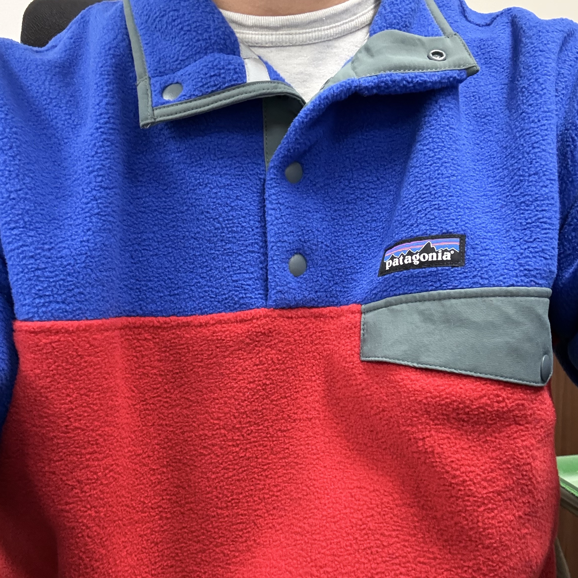 Patagonia Lightweight Synchilla Snap-T Fleece Pullover Touring Red 착용 스타일