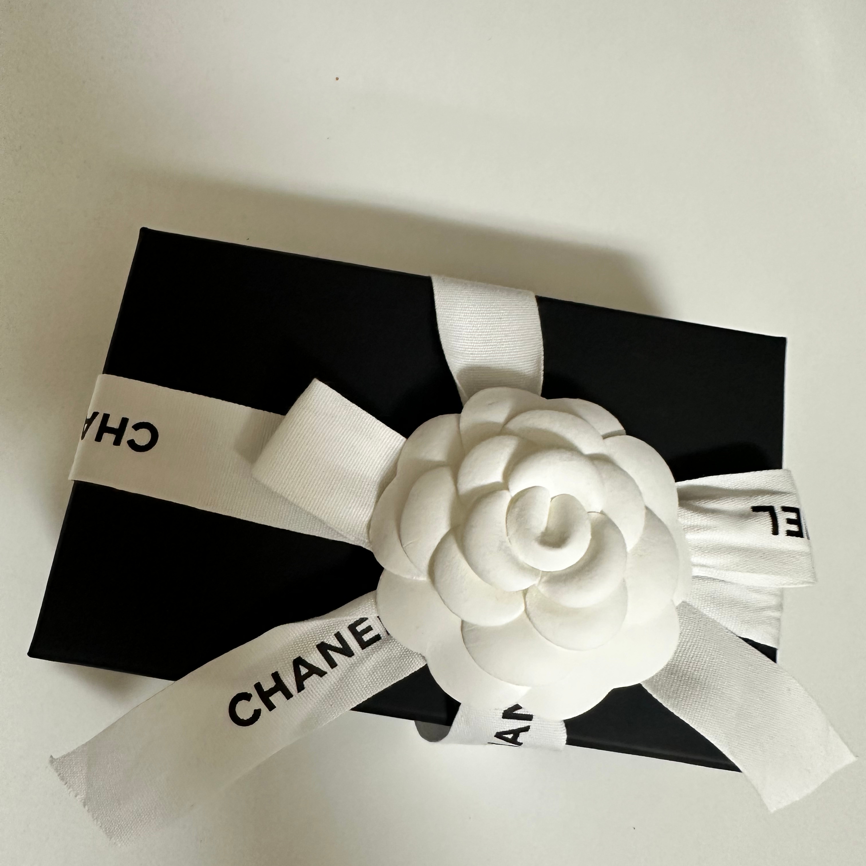 Chanel Classic Zipped Coin Purse Grained Calfskin & Silver Black 착용 스타일