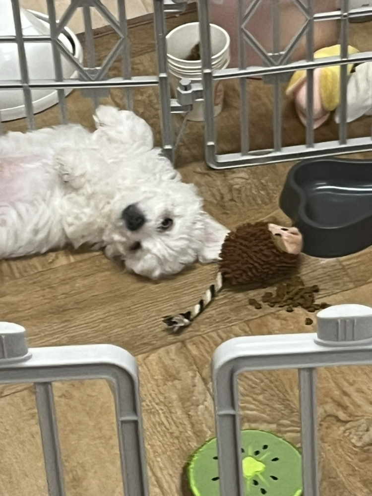 관심 유저 프로필 이미지