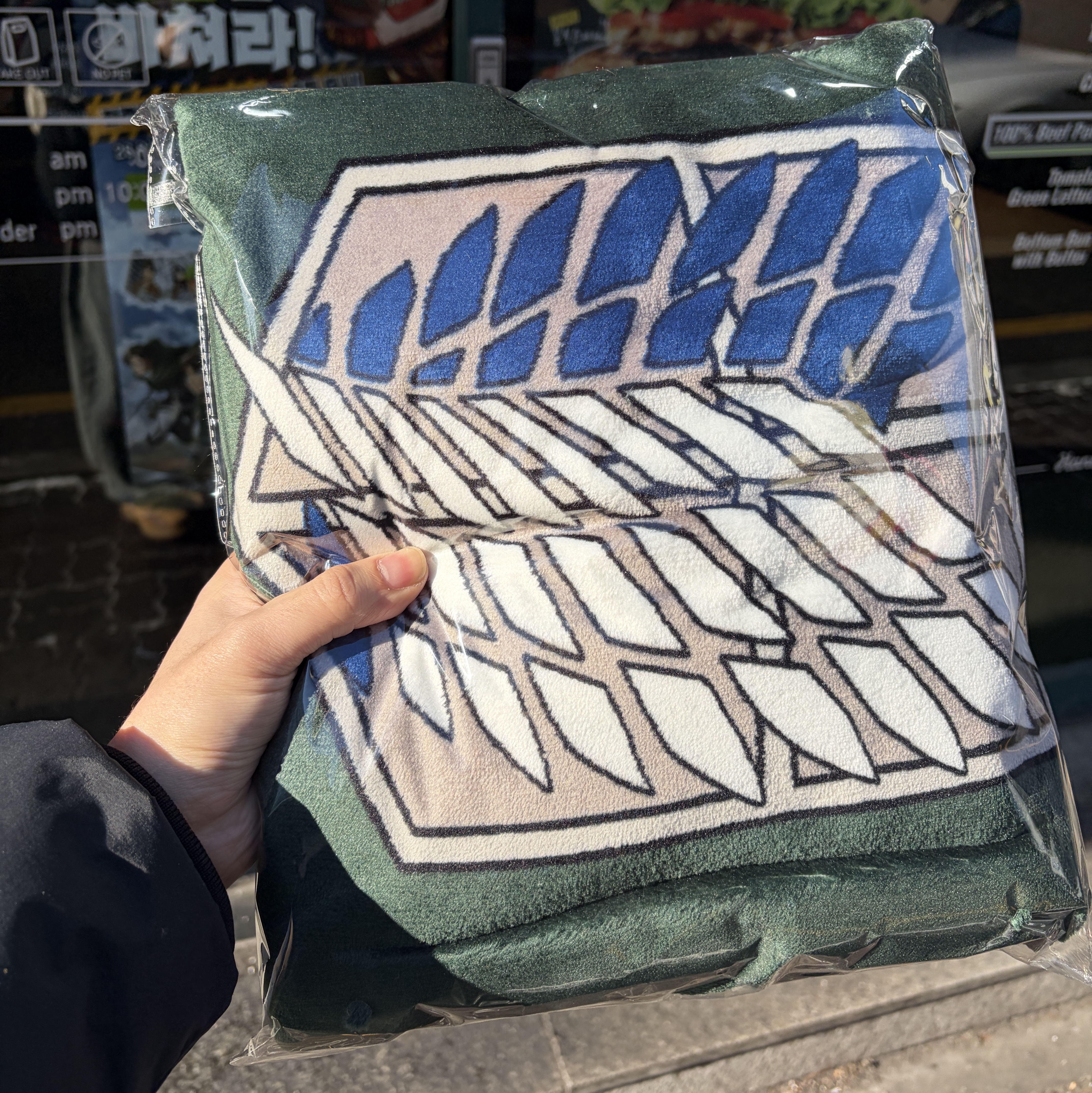 Frank Burger × Attack On Titan Scouting Legion Cloak Blanket 착용 스타일
