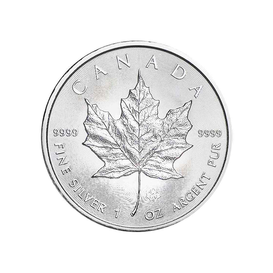 은 캐나다 왕립 조폐국 캐나다 메이플 리프코인 1 튜브 (랜덤 연도/랜덤 디자인/25개 세트)(Silver Royal Canadian Mint Canada Maple Leaf Coin 1 Tube (Random Year/Random Design/Set of 25))