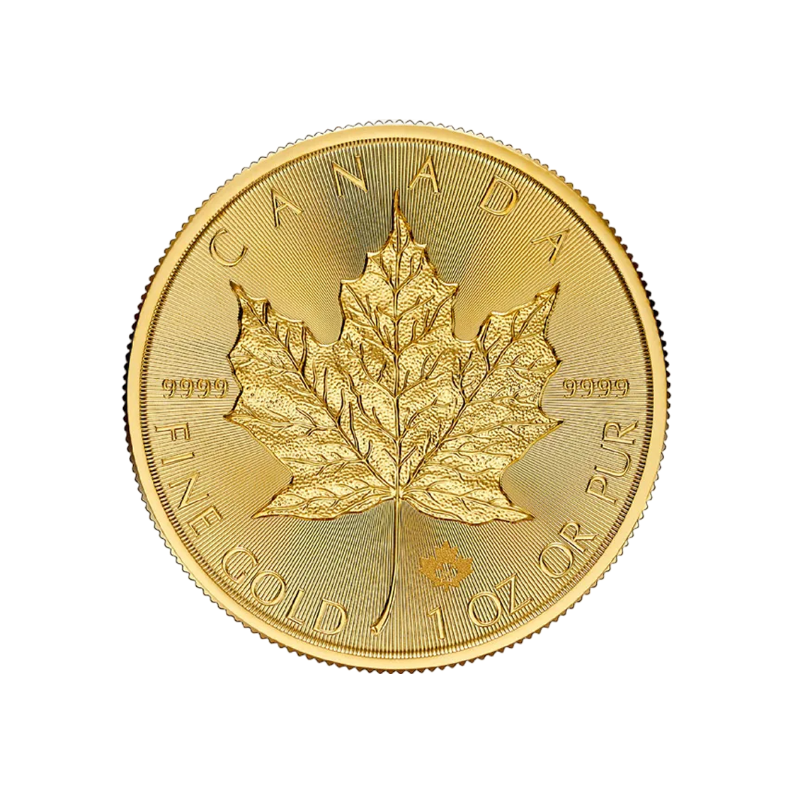 금 캐나다 왕립 조폐국 캐나다 골드 메이플 리프코인 1온즈 (랜덤 연도/랜덤 디자인)(Gold Royal Canadian Mint Canada Maple Leaf Coin 1 oz (Random Year/Random Design))
