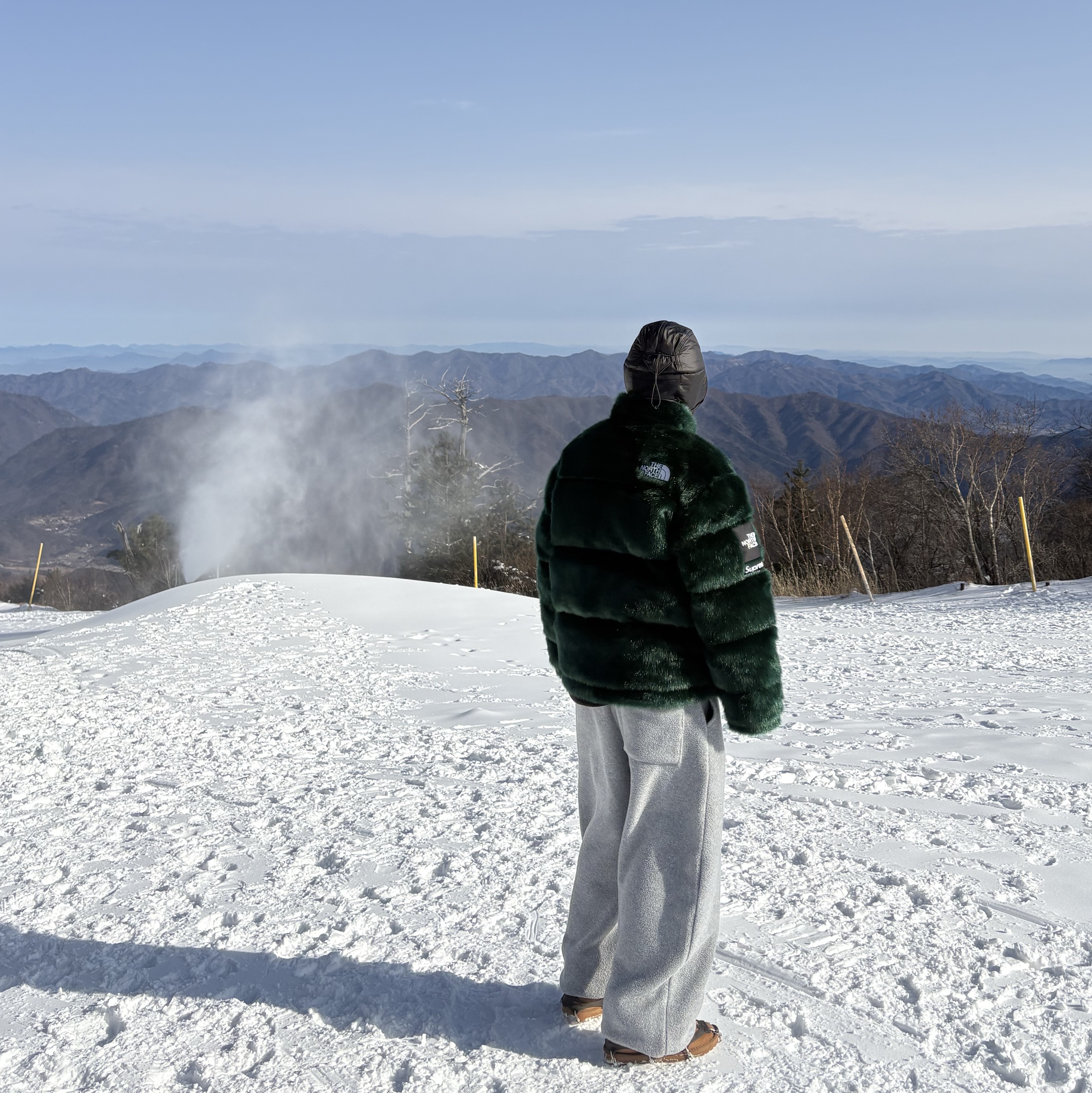Supreme x The North Face Faux Fur Nuptse Jacket Green - 20FW, Salomon Thermo Trapper Hat Black 착용 스타일