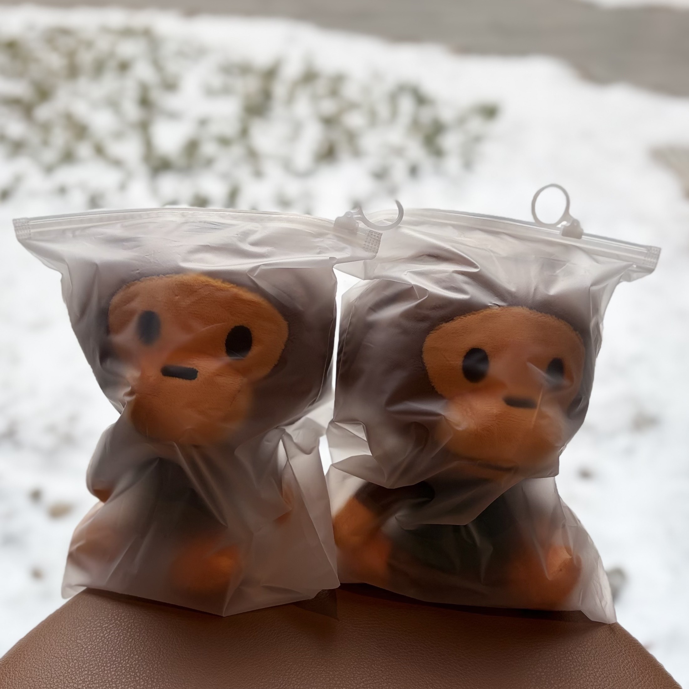 Starbucks x BAPE Baby Milo Foldable Bag 착용 스타일 - 1