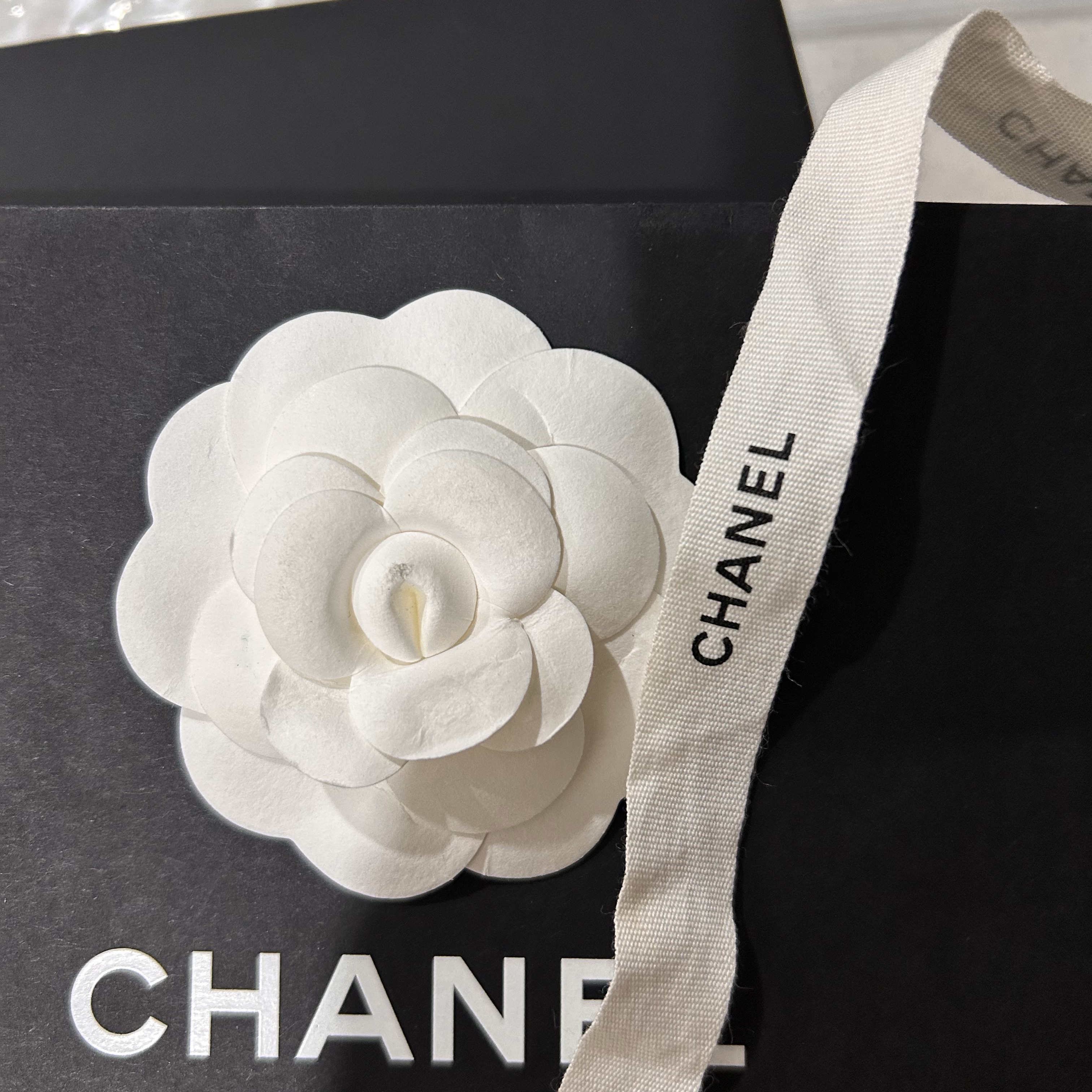 Chanel Classic Card Holder Grained Calfskin & Silver Black 착용 스타일 - 1