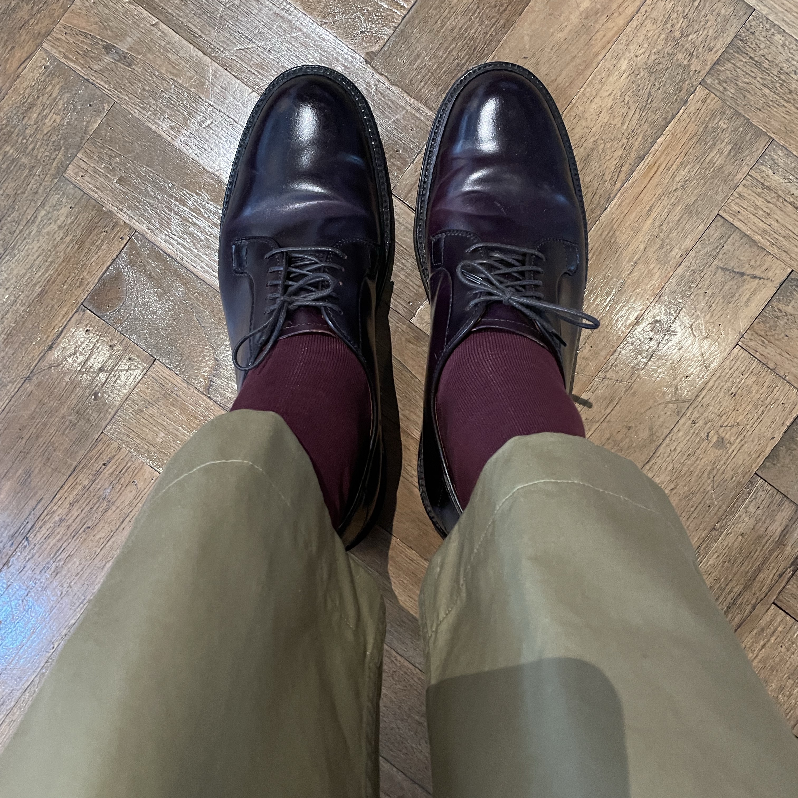 Alden 990 Cordovan Plain Toe Blucher Oxford Burgundy - E 착용 스타일