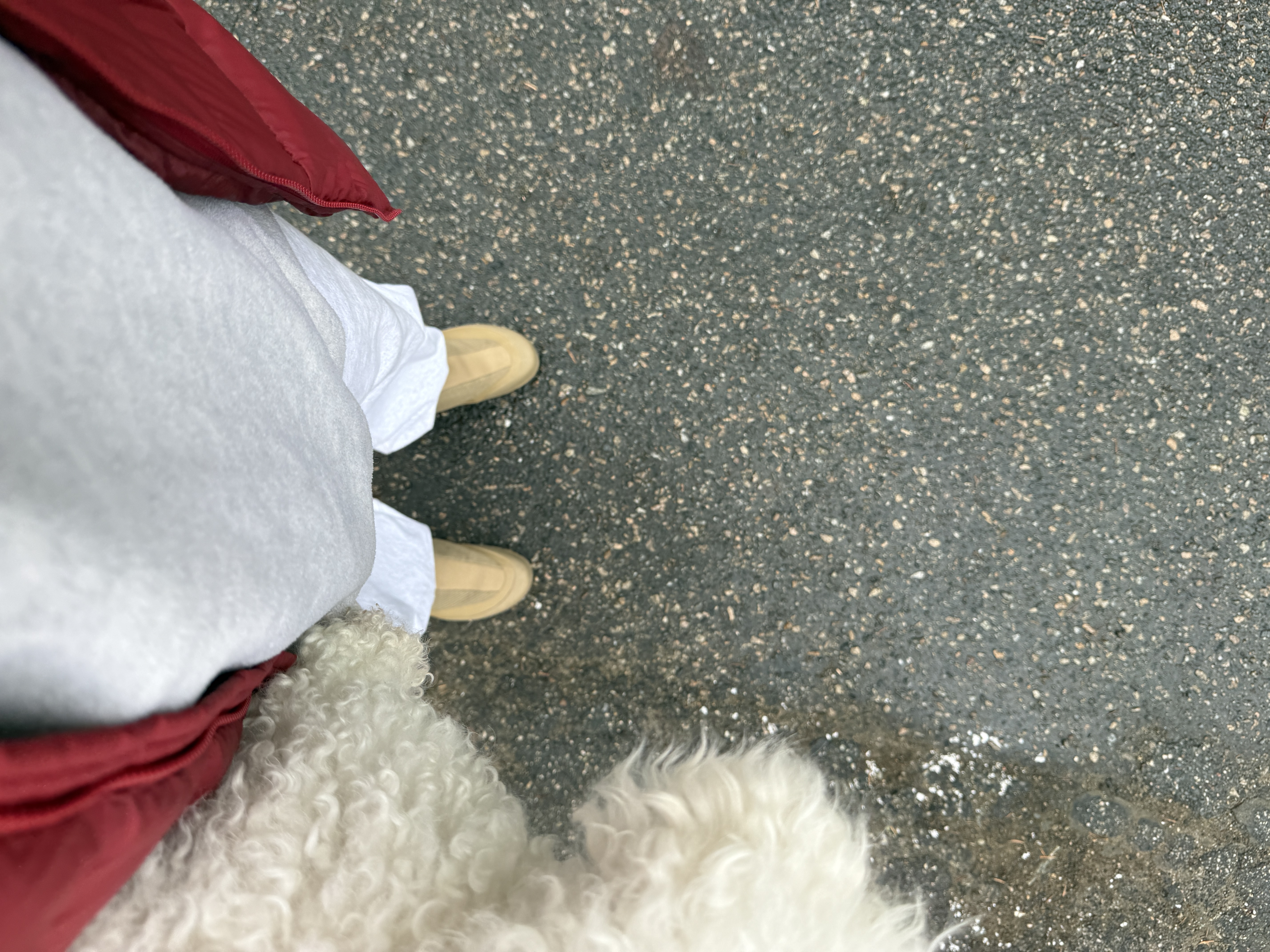 Arc'teryx Thorium Hoody Bordeaux 착용 스타일