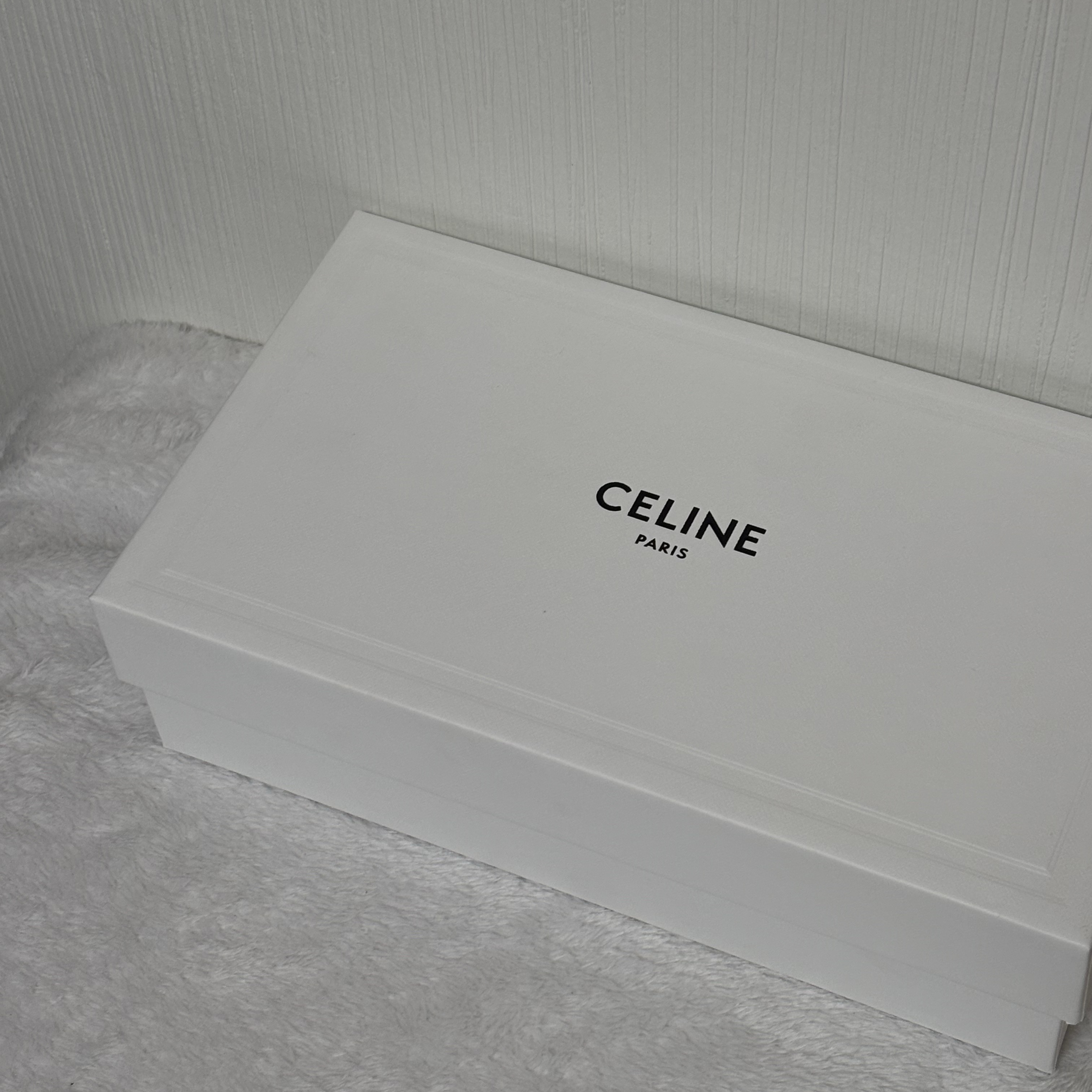 (W) Celine Triomphe 01 Sunglasses in Acetate Black 착용 스타일 - 1