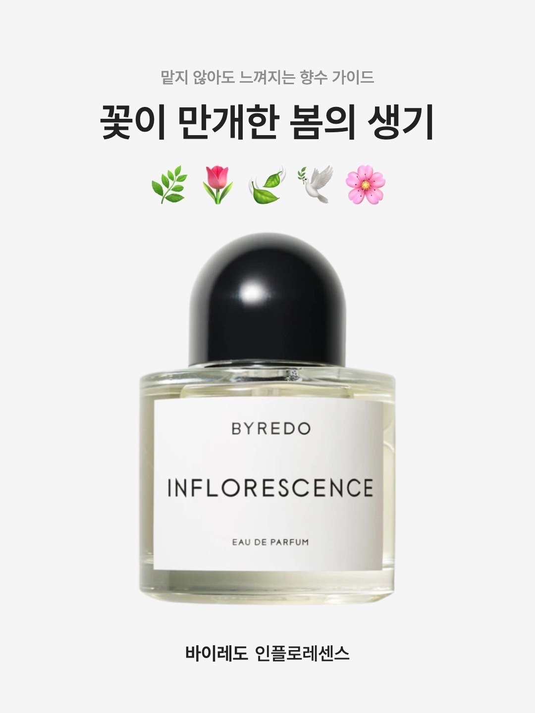 Byredo Inflorescence Eau De Parfum 100ml, Byredo Inflorescence Eau De Parfum 50ml 착용 스타일 - 1