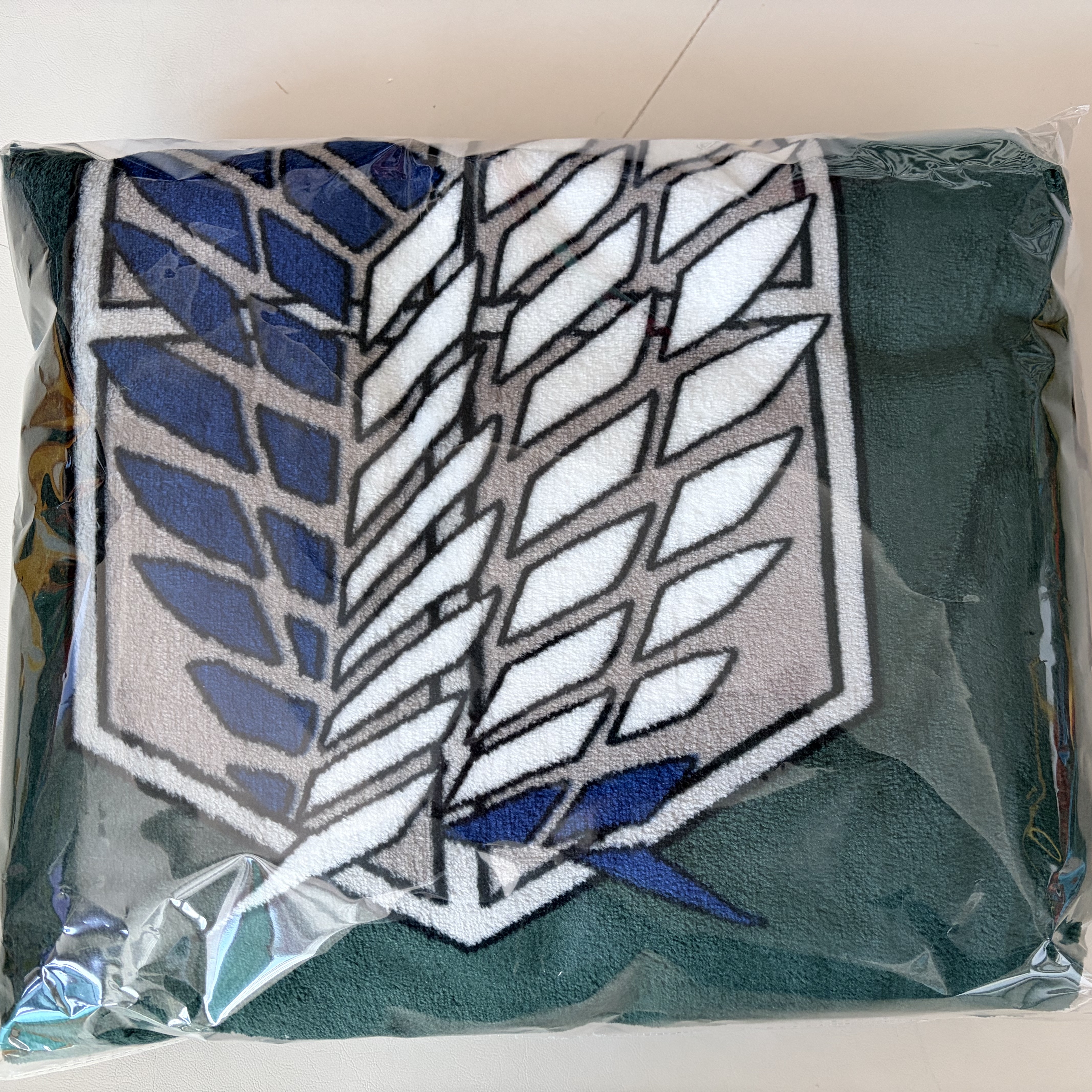 Frank Burger × Attack On Titan Scouting Legion Cloak Blanket 착용 스타일
