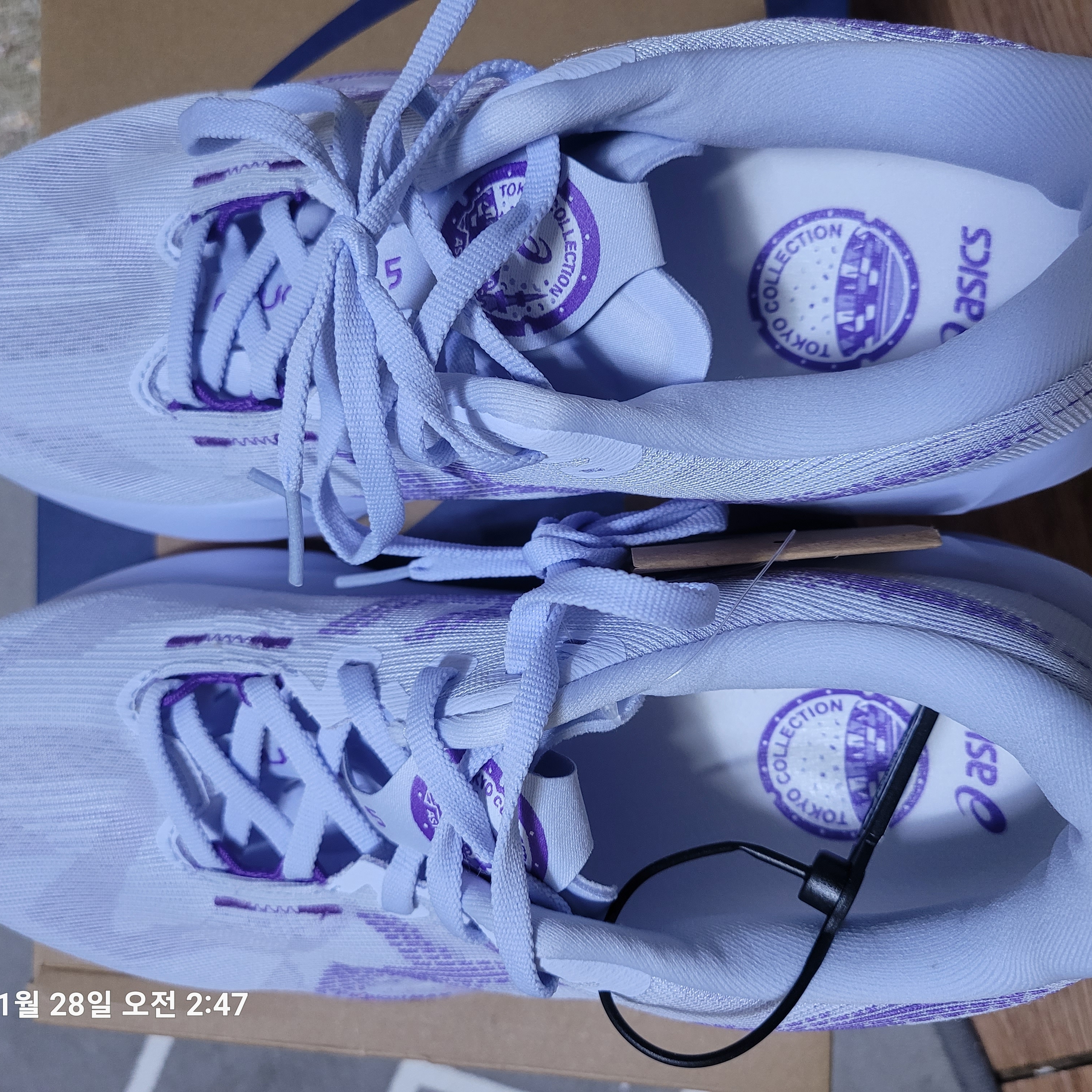Asics Novablast 5 Tokyo Blue Fade Edo Purple 착용 스타일