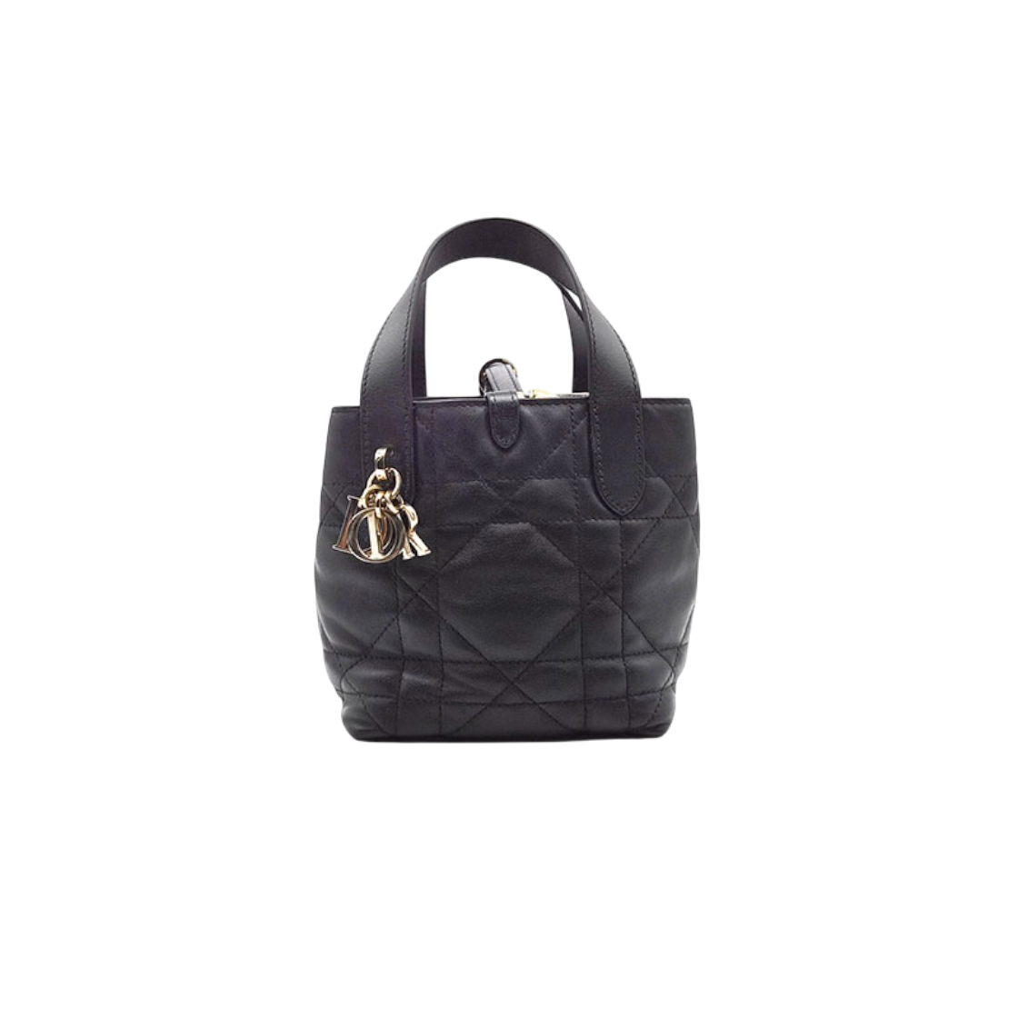 ITGOADBLG5EB Christian Dior Tuileries Vertical Nano Bag L343507