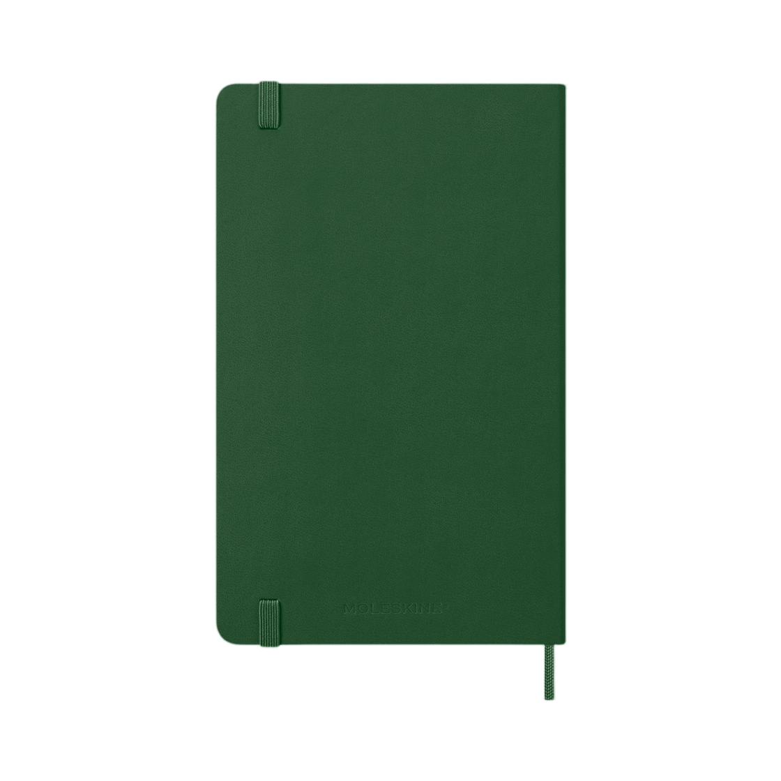 몰스킨 2026 클래식 데일리 다이어리 하드커버 라지 머틀그린(Moleskine 2026 Classic Daily Diary Hard Cover Large Myrtle Green) - 2