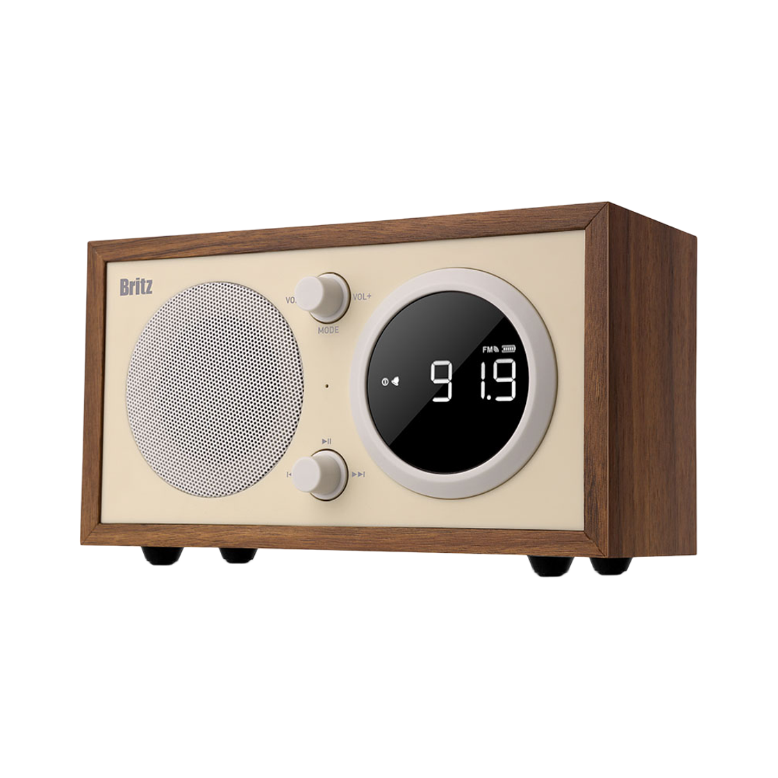 브리츠 BZ-B1 실내 야외 블루투스 스피커(Britz BZ-B1 Indoor/Outdoor Bluetooth Speakers) - 2