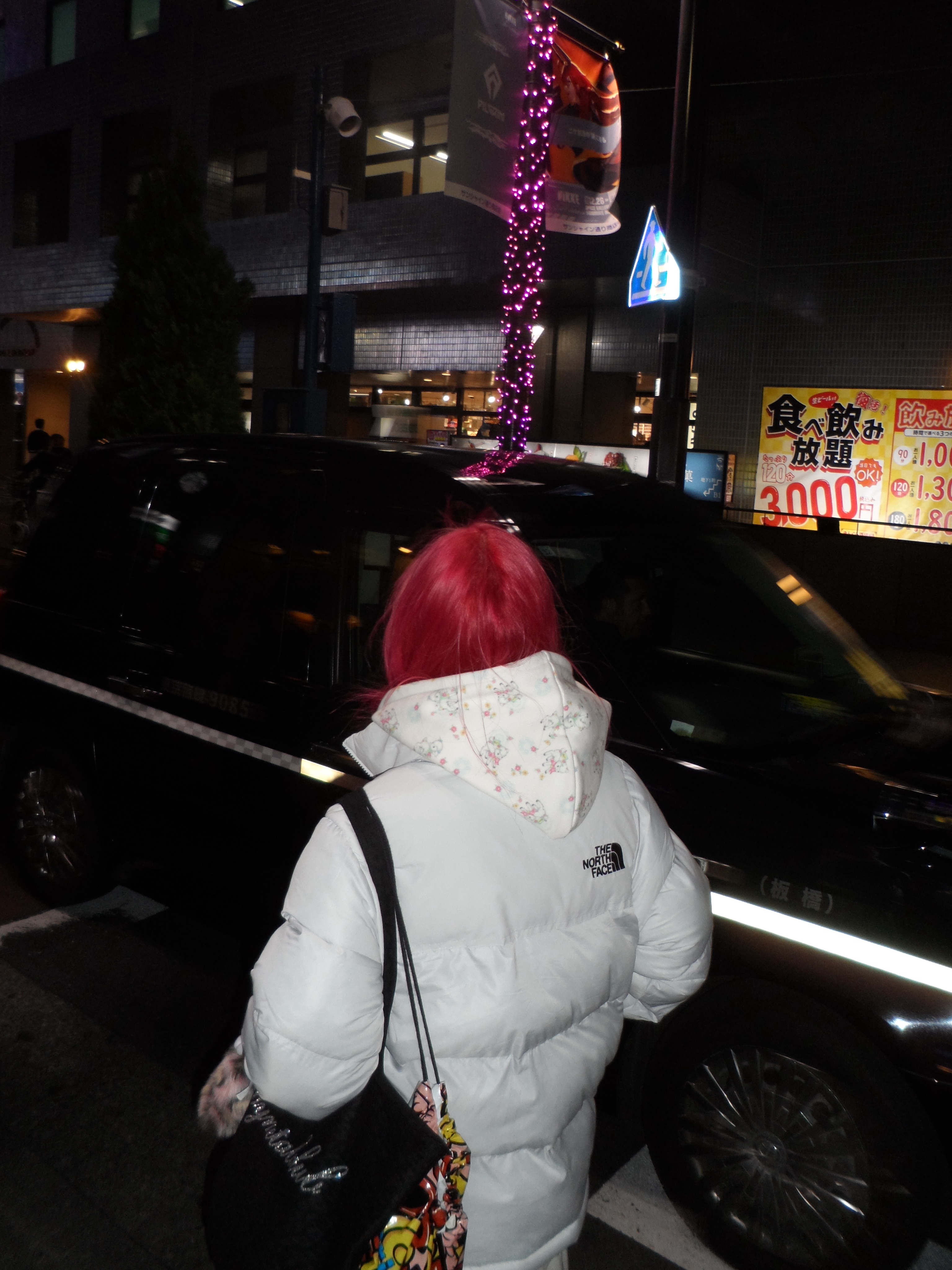 (W) The North Face Nuptse On Ball Jacket Ice Gray, Supreme Hanes Bones Thermal Crew Floral (1 Pack) - 25FW 착용 스타일 - 2