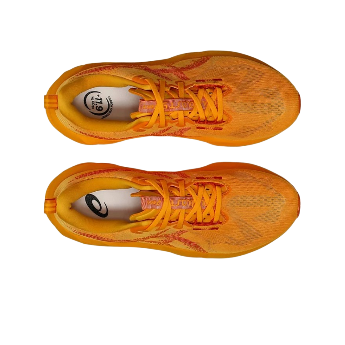 아식스 노바블라스트 5 야마부키 안주(Asics Novablast 5 Yamabuki Anzu) - 2