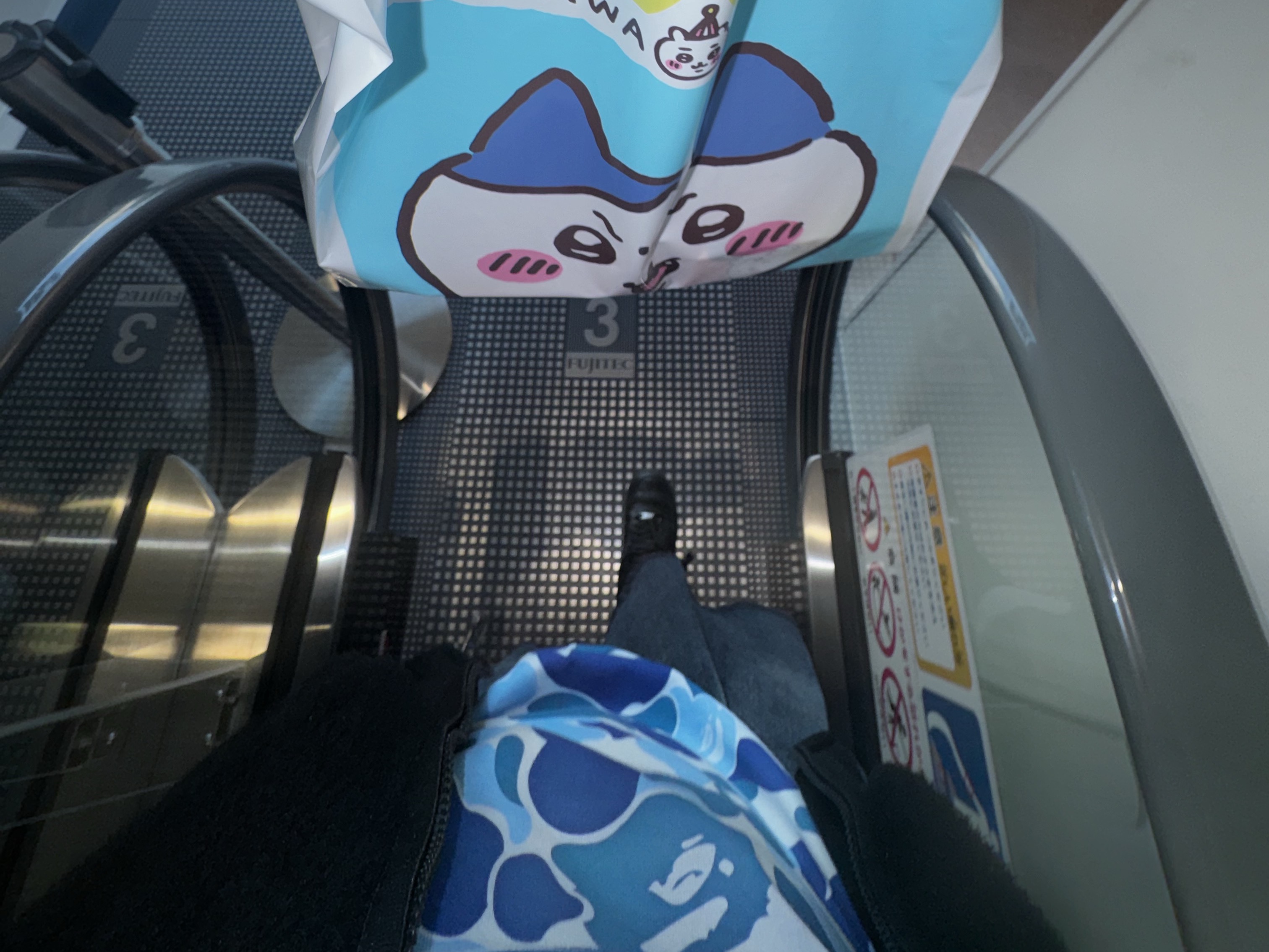 NewJeans x The Powerpuff Girls Acrylic Smarttok Hanni, BAPE Baby Milo Mobile Bag Brown 착용 스타일 - 3